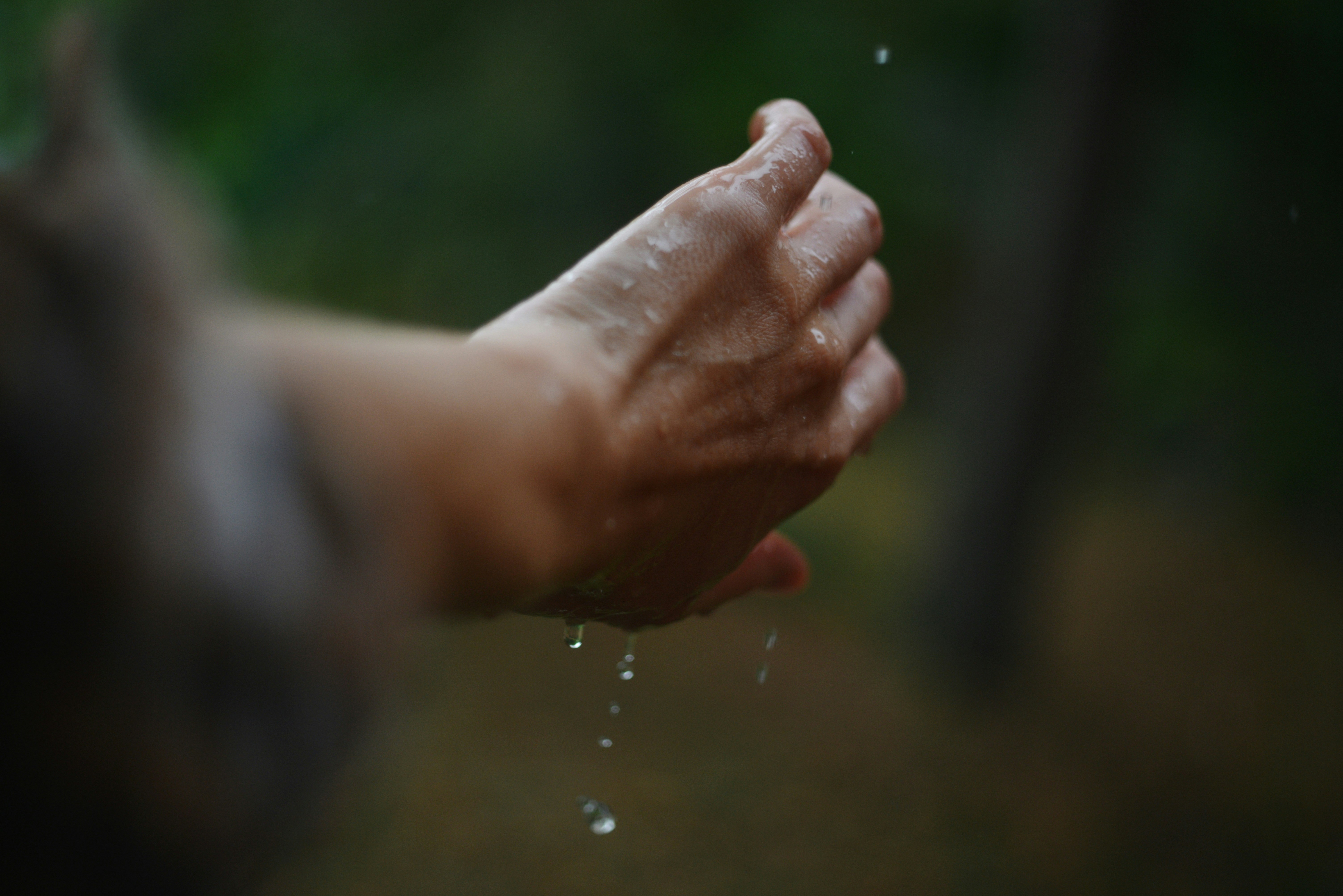 Photo by cherstve_pechivo