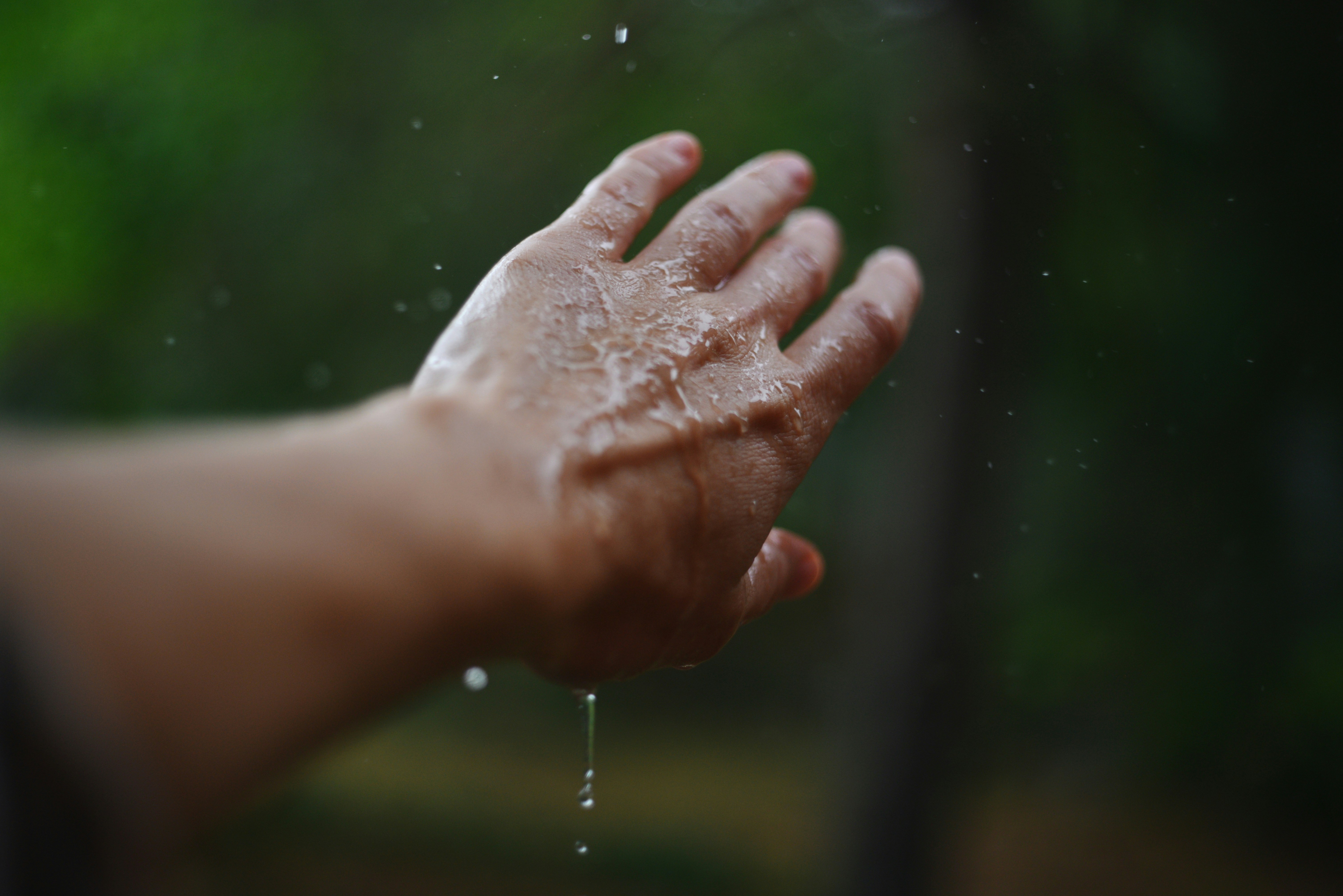 Photo by cherstve_pechivo