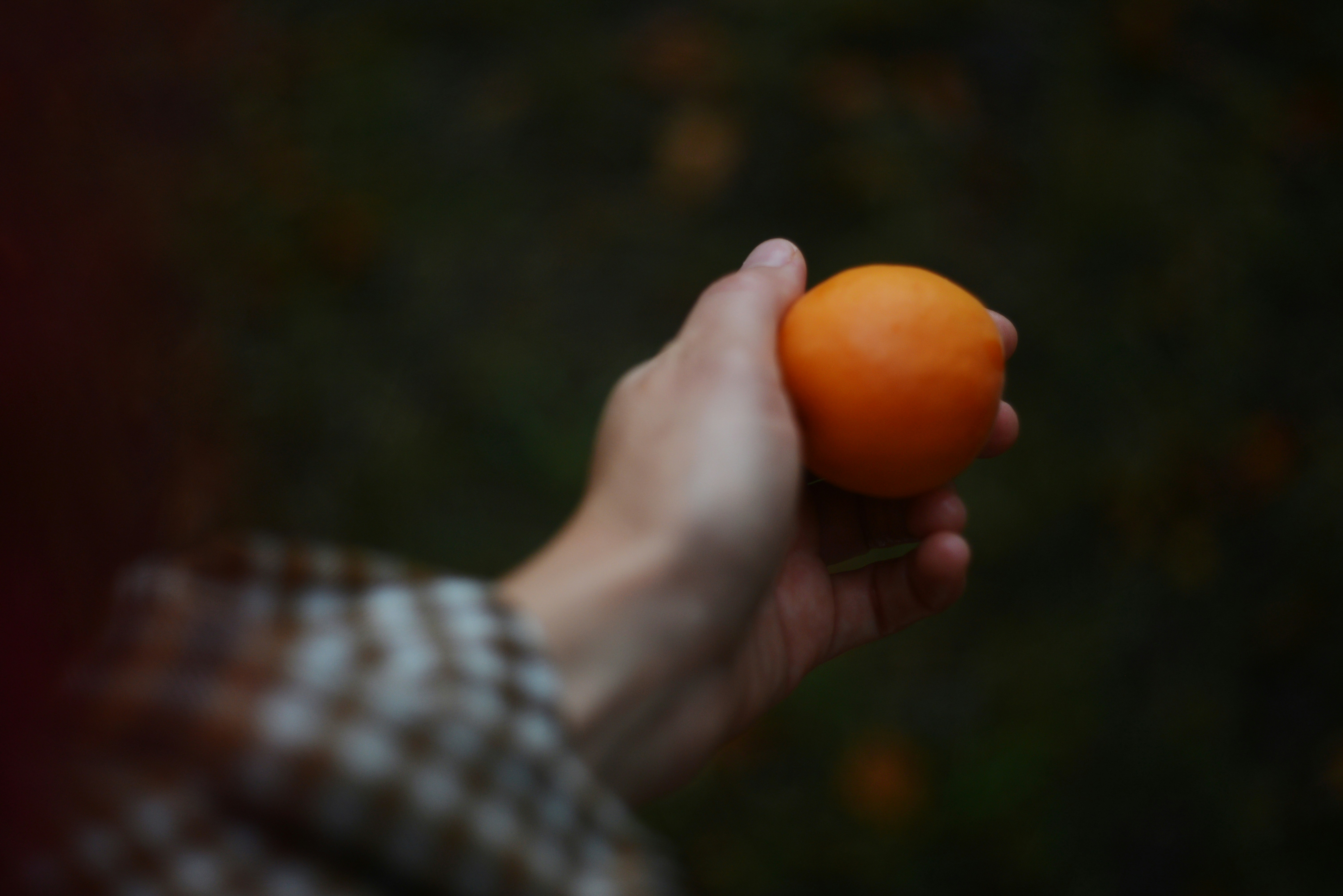 Photo by cherstve_pechivo