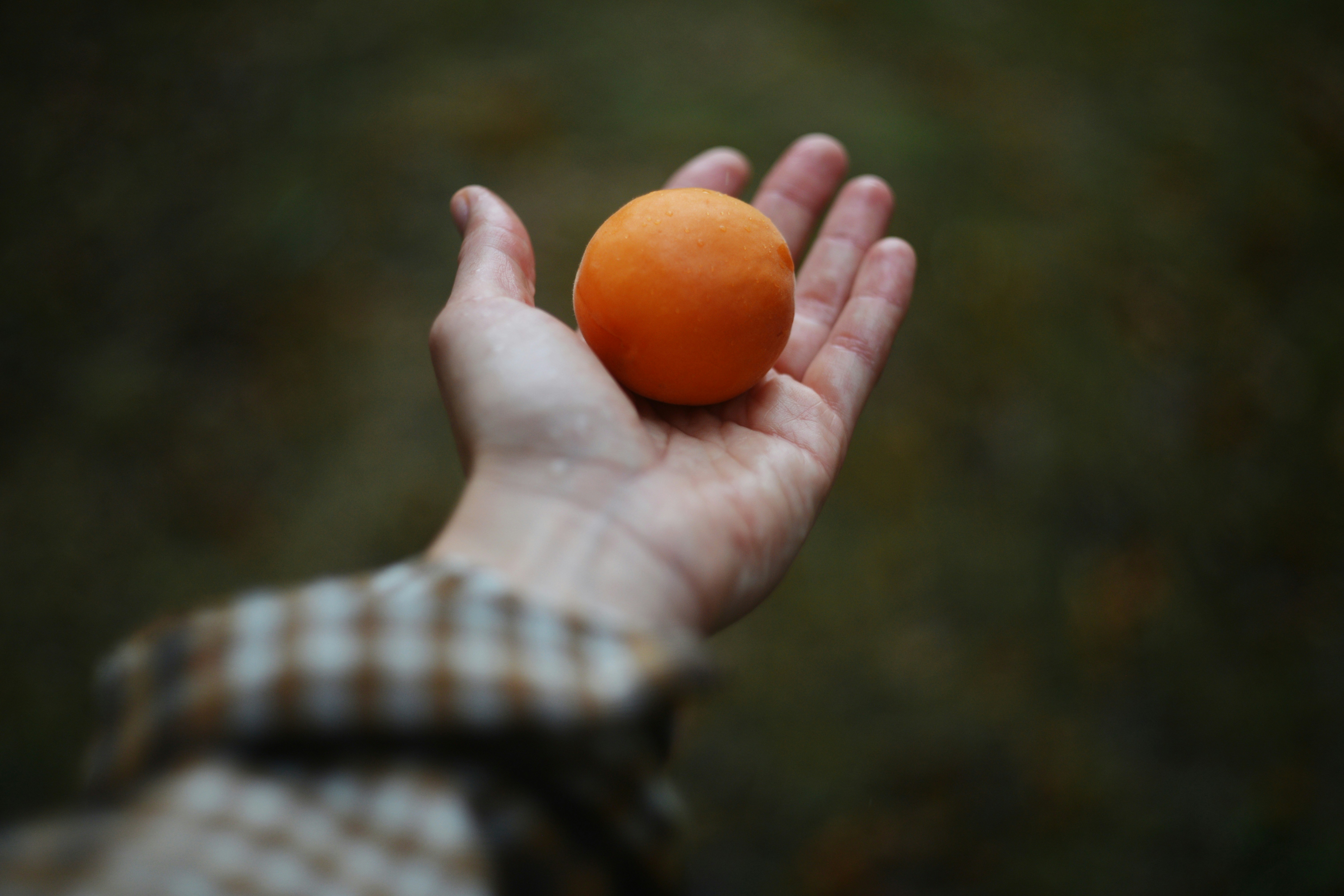 Photo by cherstve_pechivo