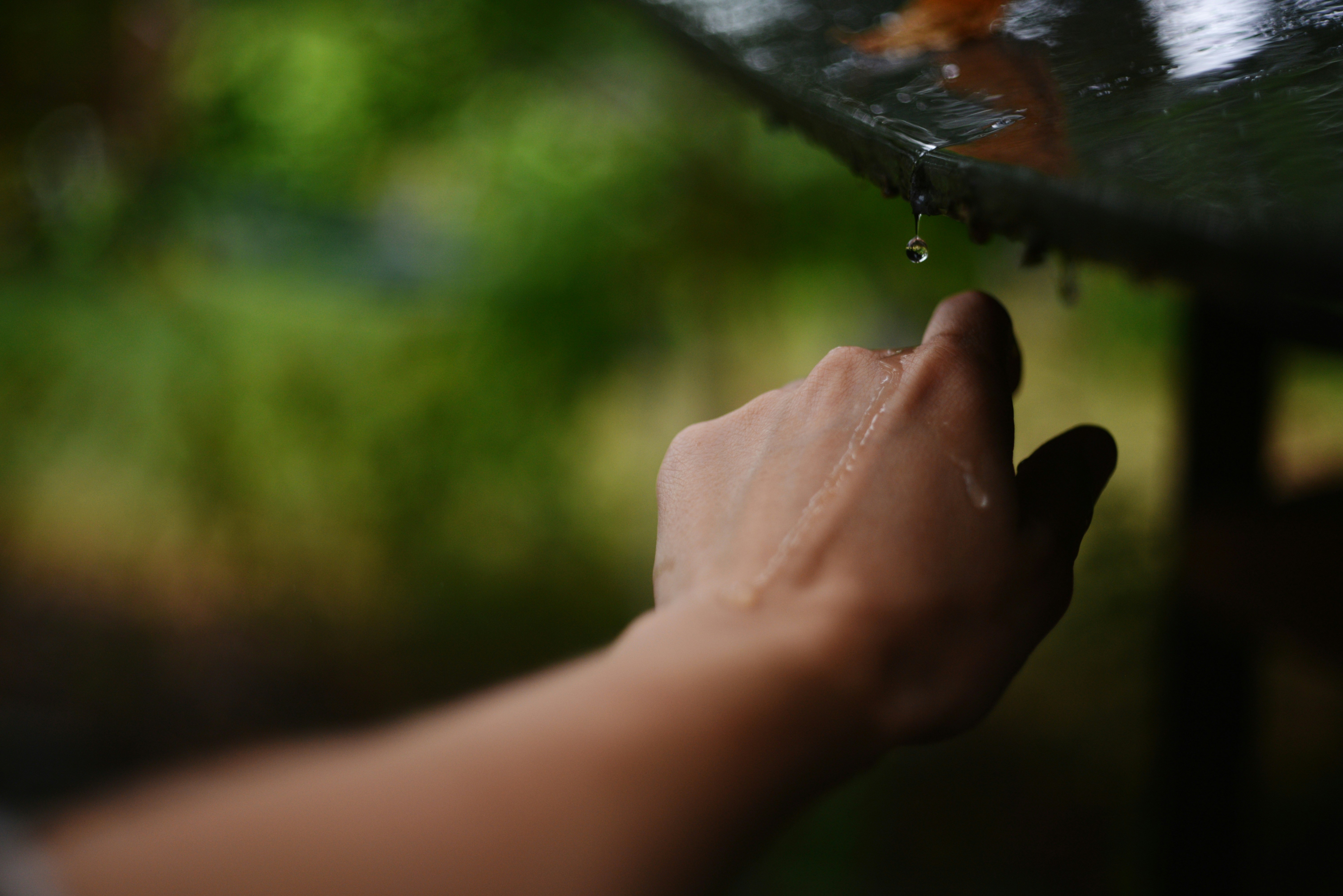 Photo by cherstve_pechivo