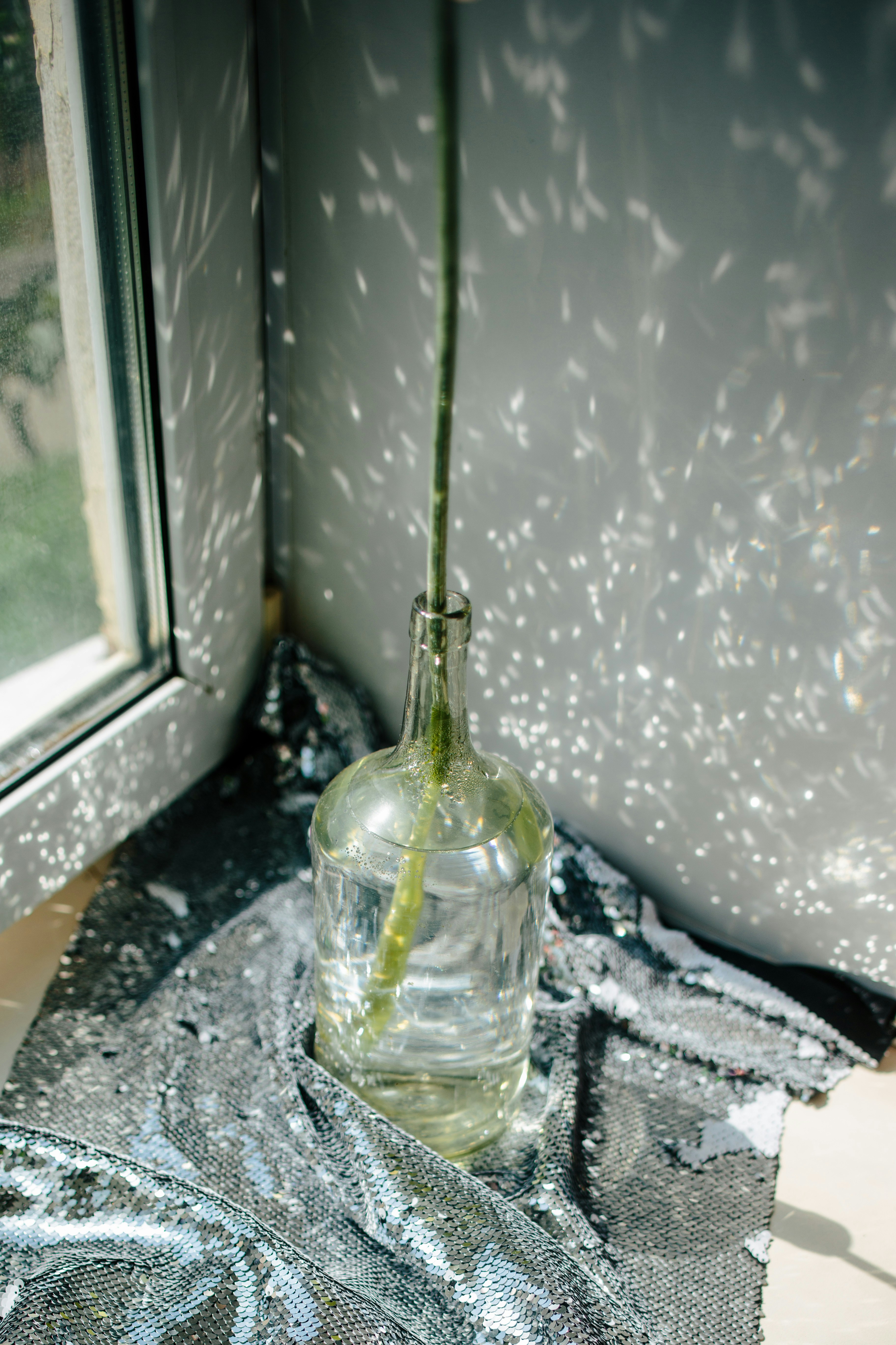 photo-1752862102857-619caee411f5?ixid=M3