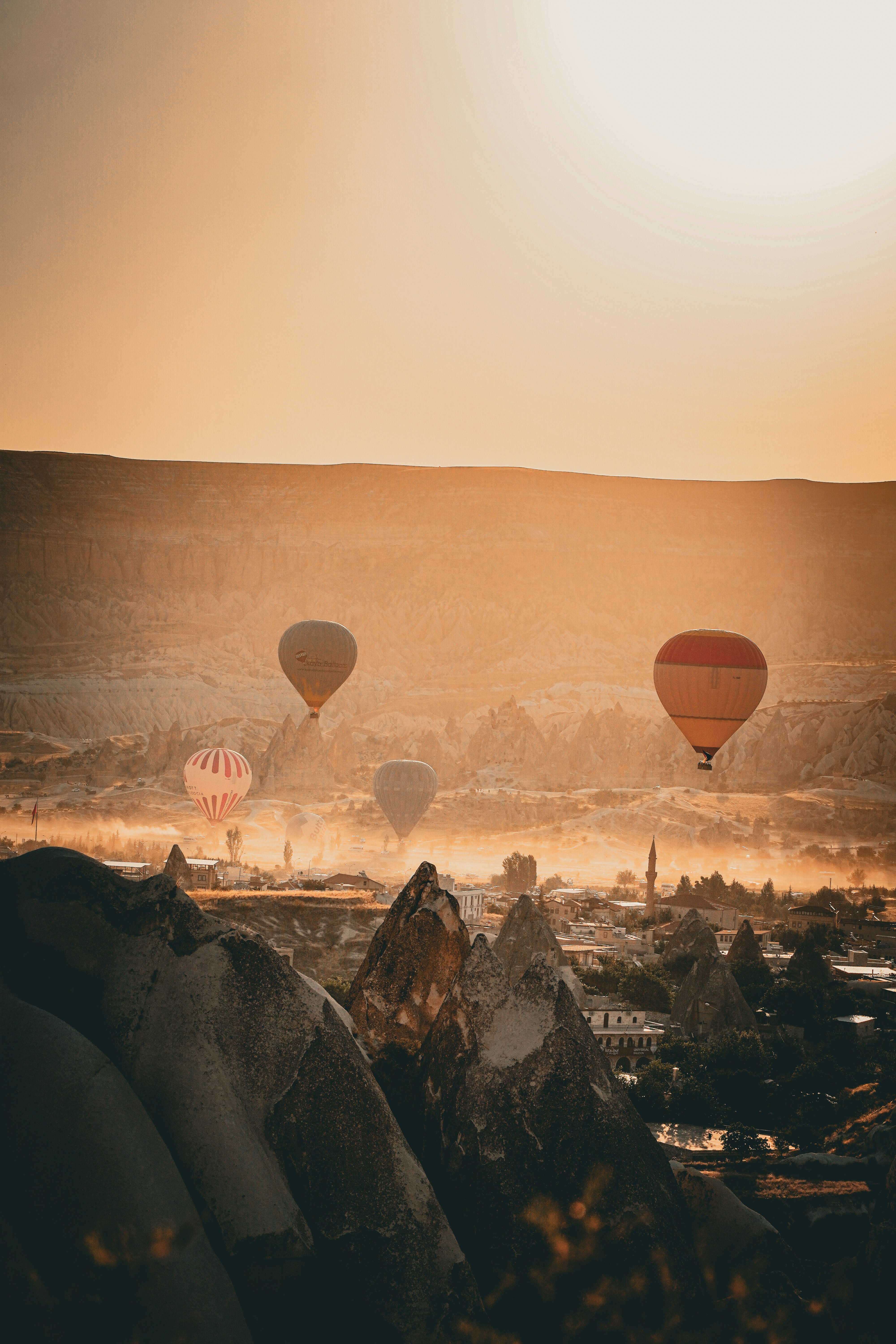 Hot air balloons soaring over a scenic landscape at sunrise.