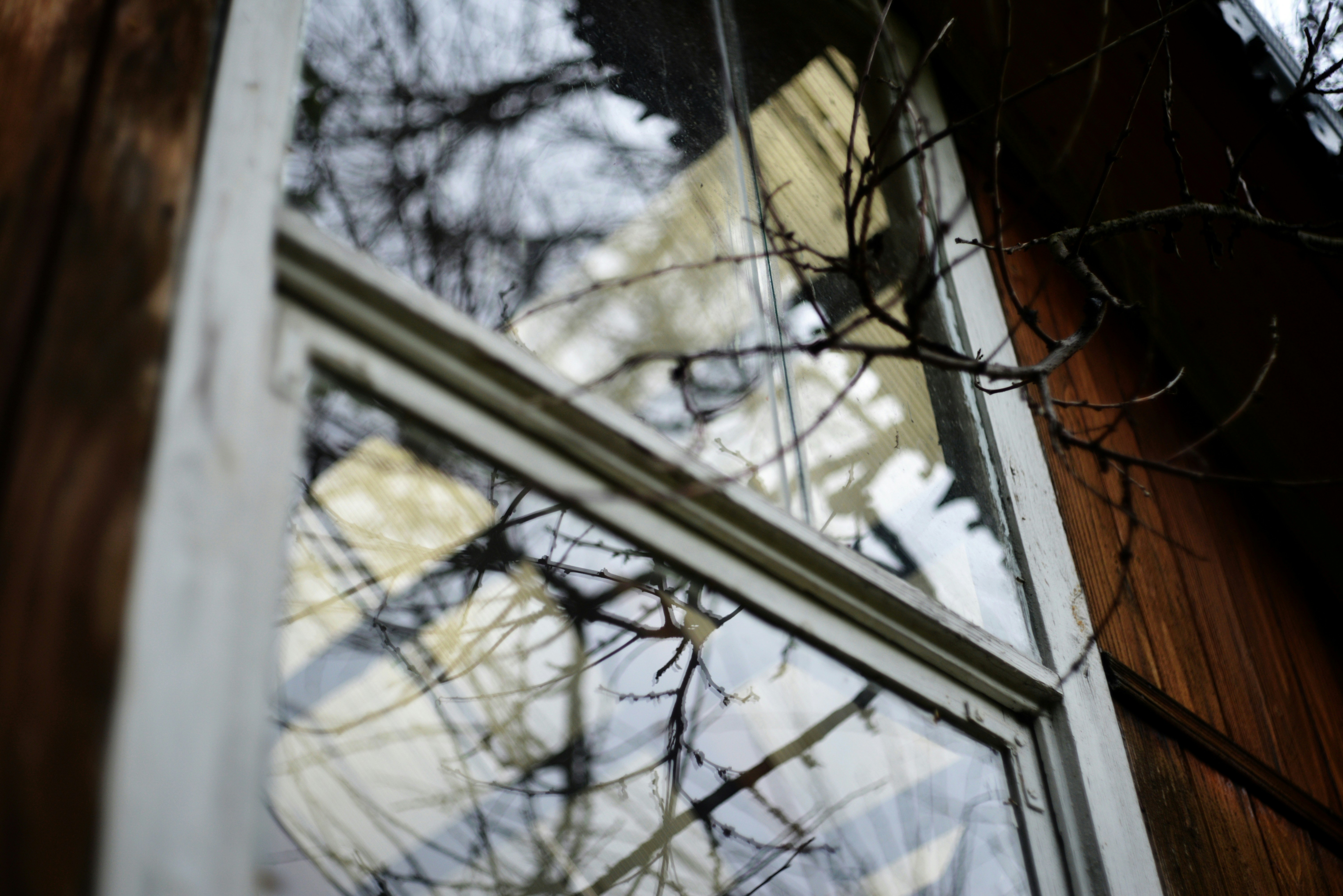 Photo by cherstve_pechivo