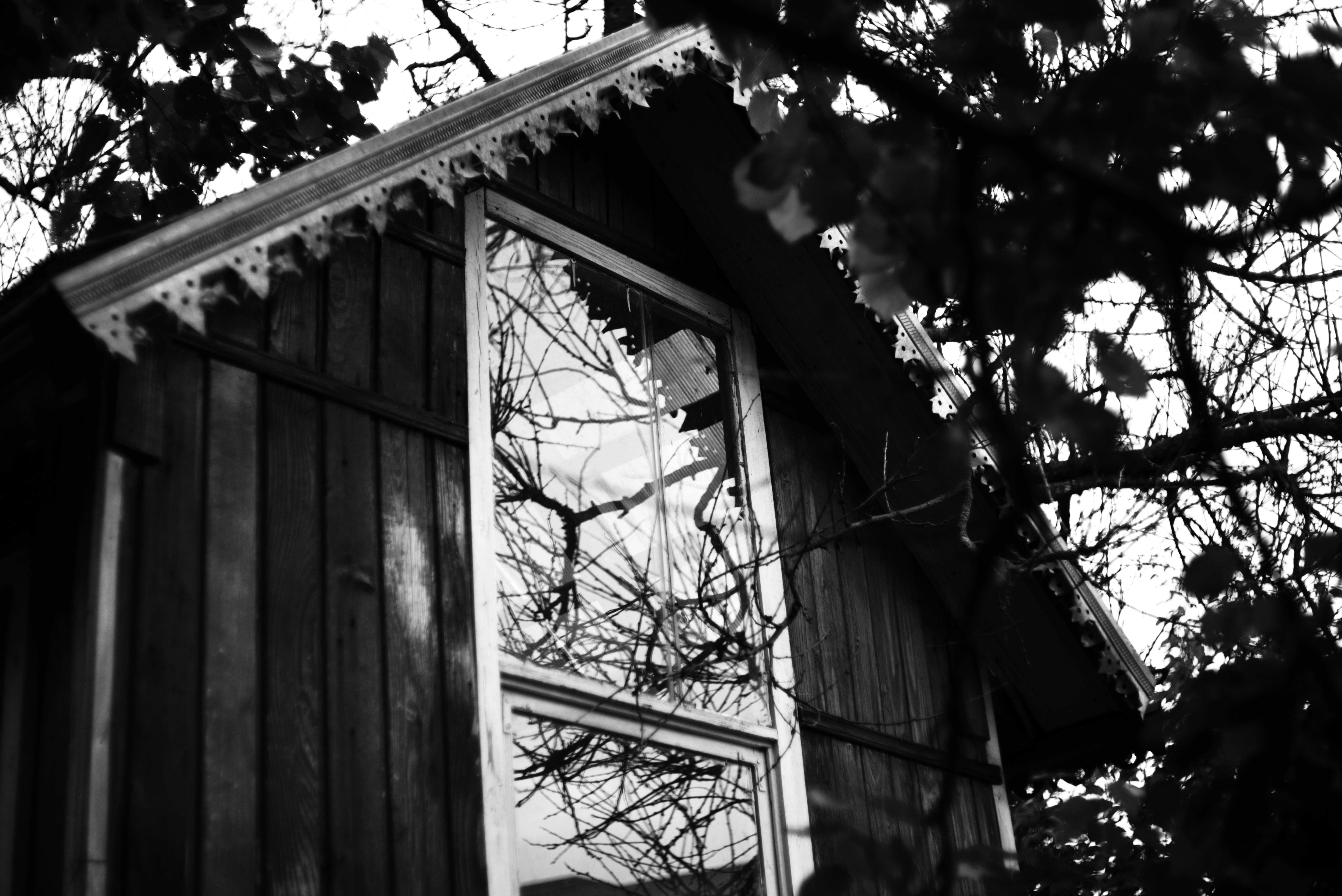 Photo by cherstve_pechivo