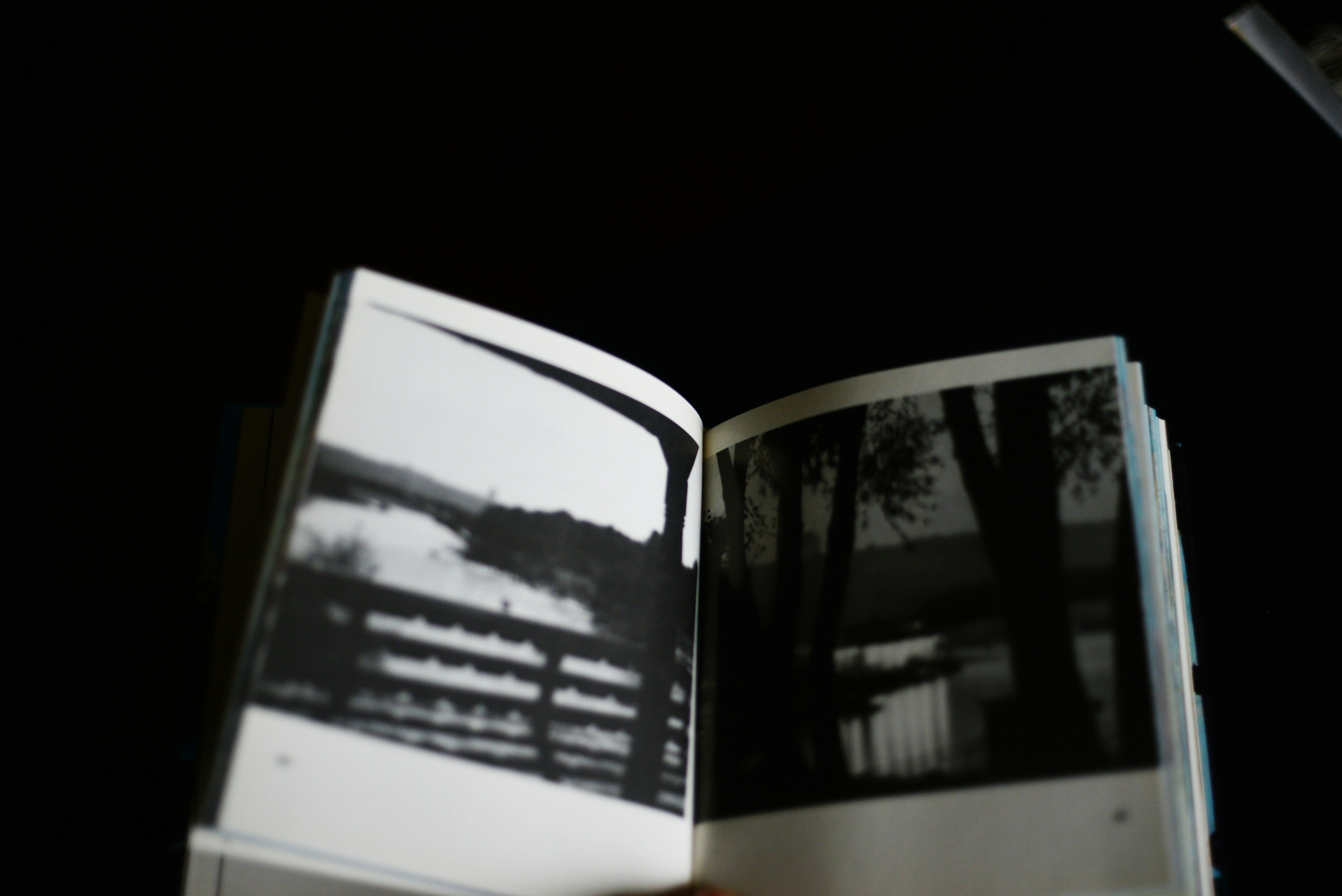 El libro abierto muestra fotos de la naturaleza en blanco y negro.