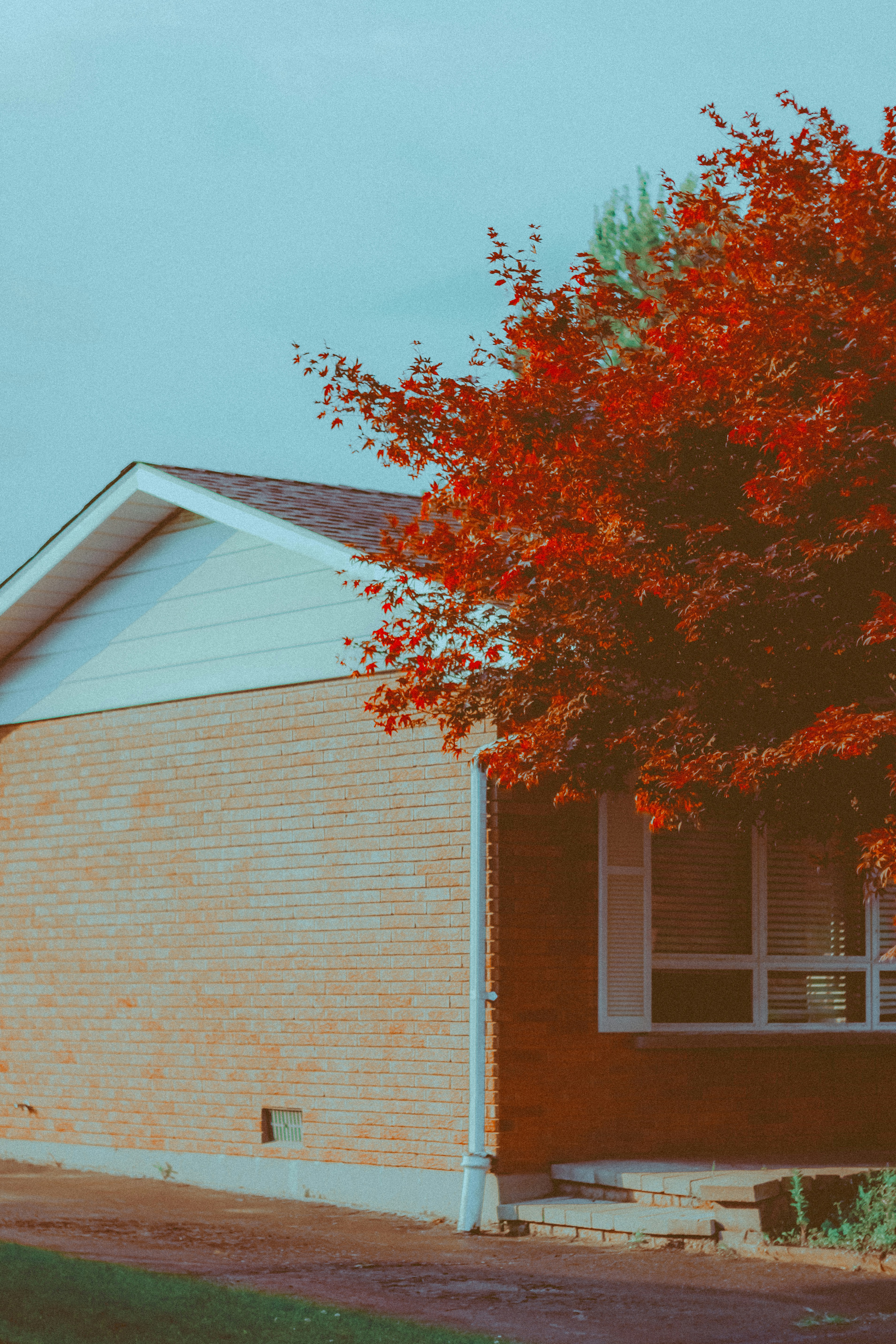 Photo by linusbelanger