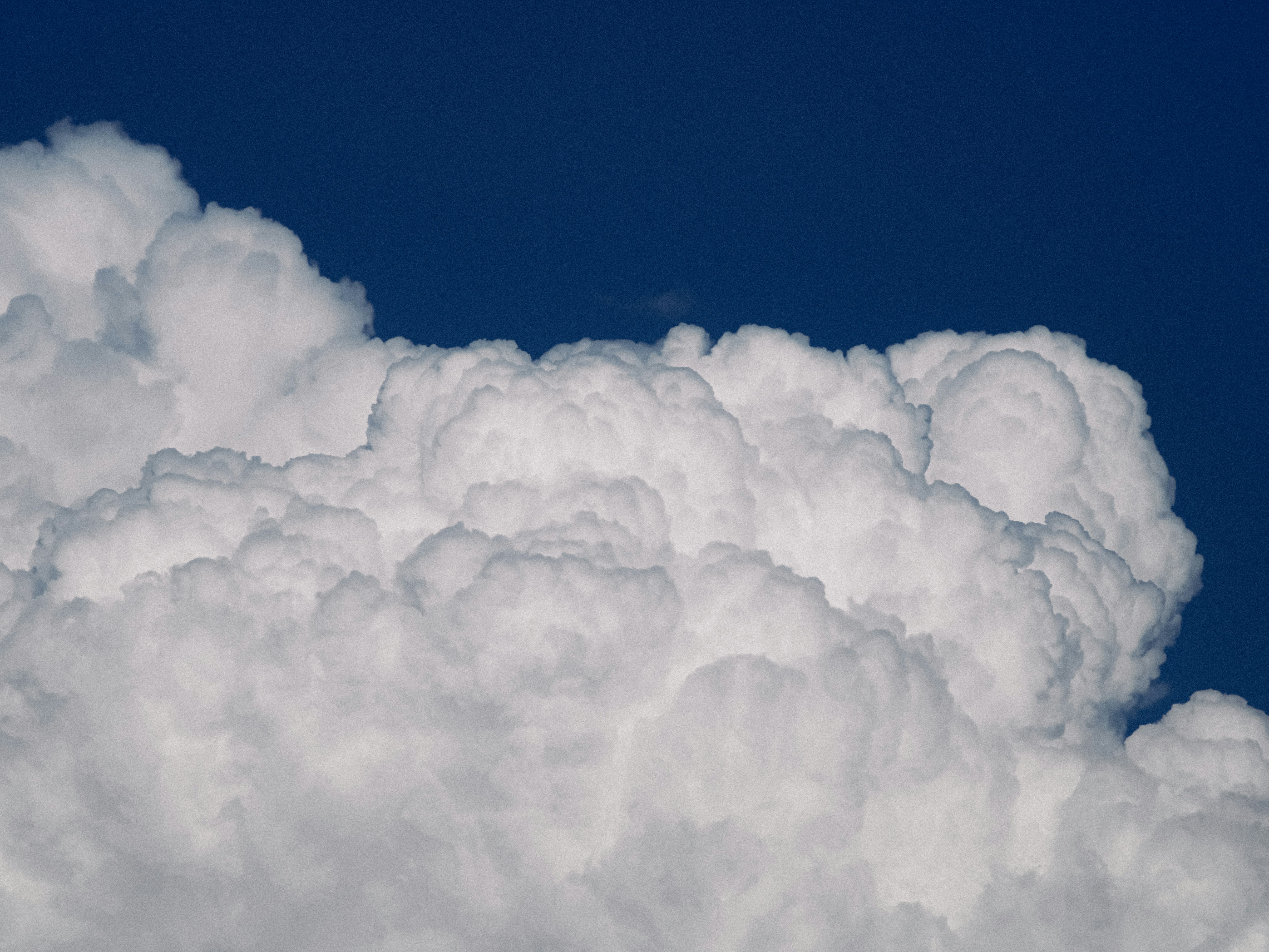 Photo by linusbelanger