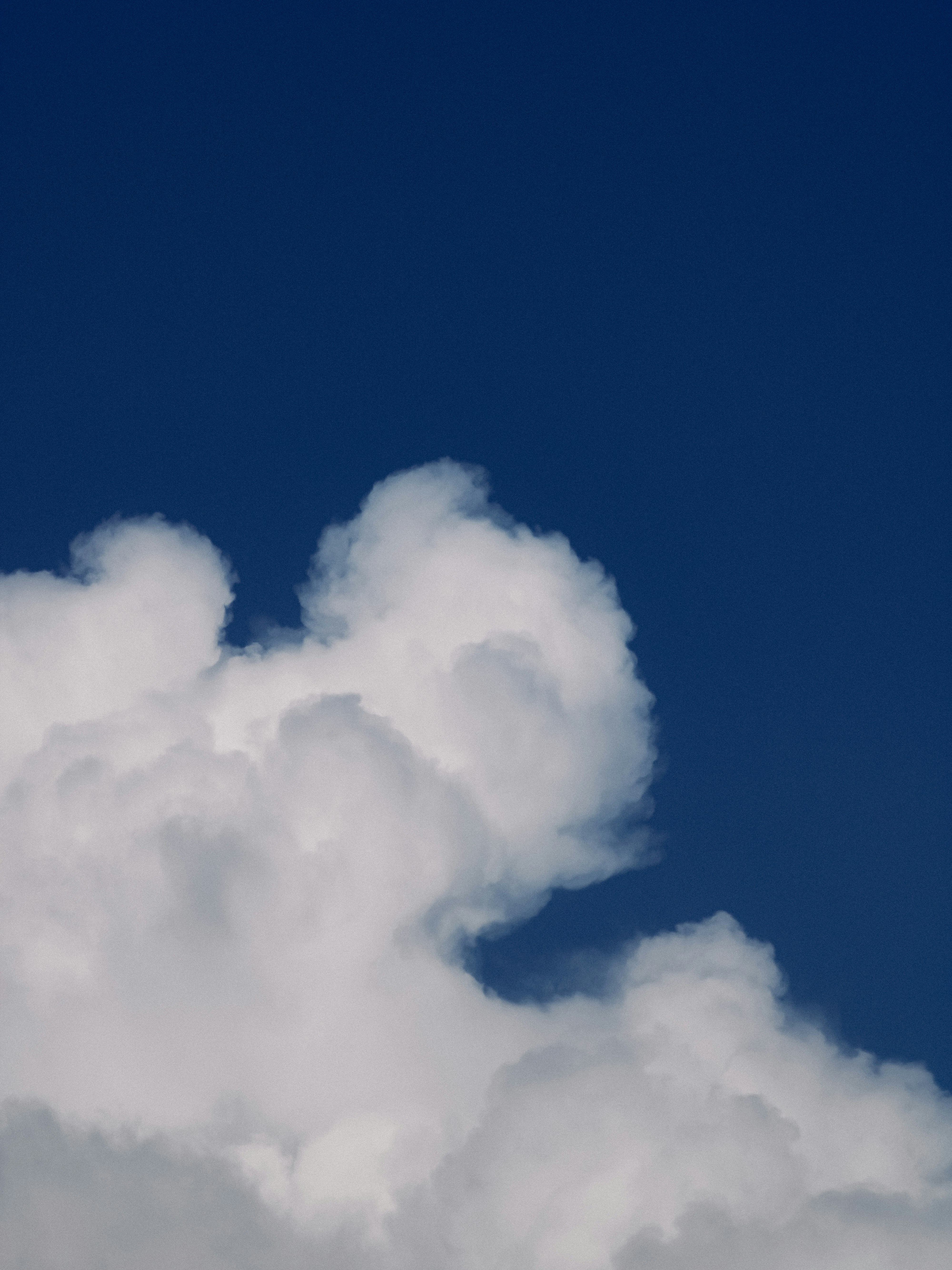 Photo by linusbelanger