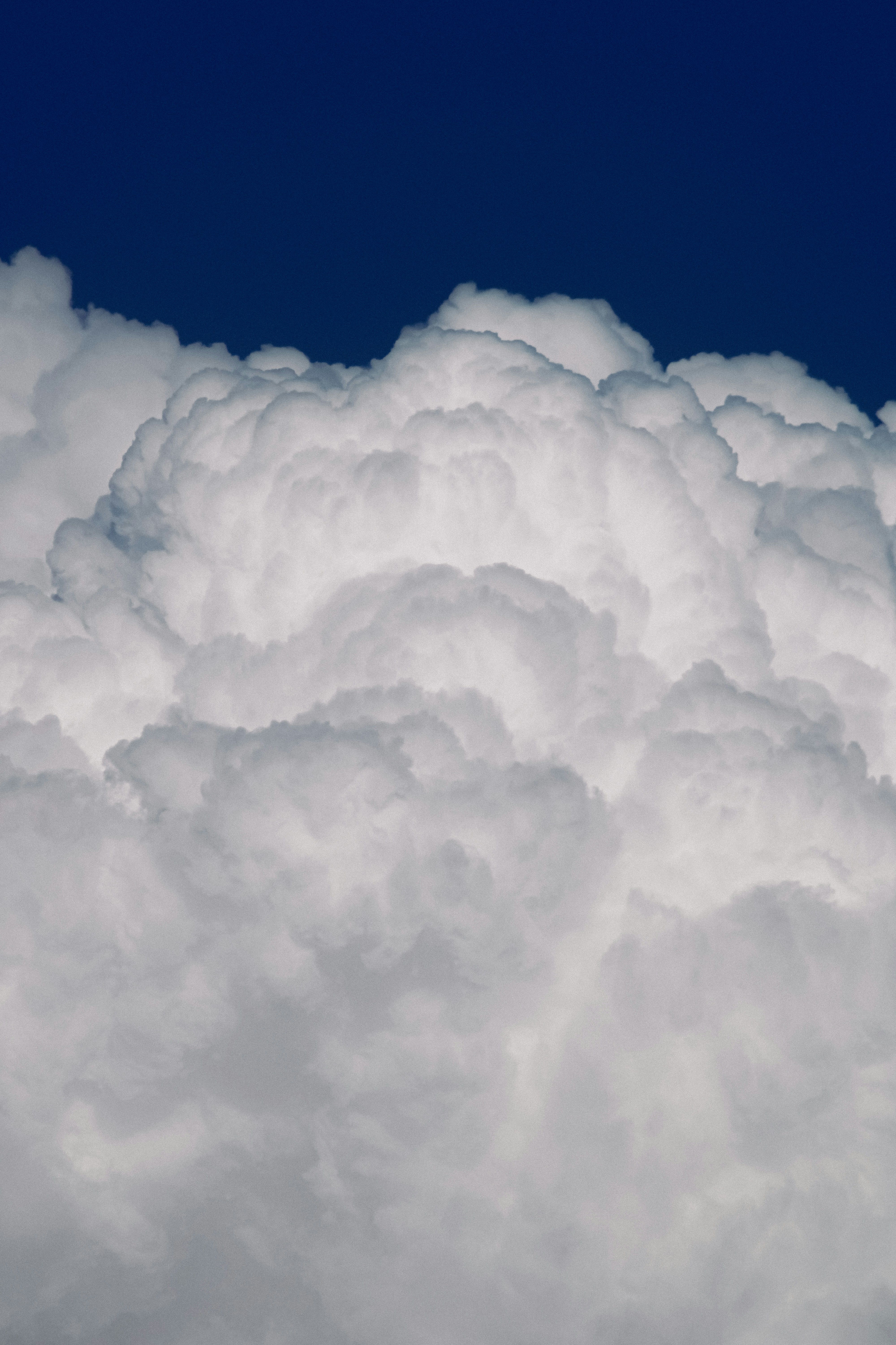 Photo by linusbelanger