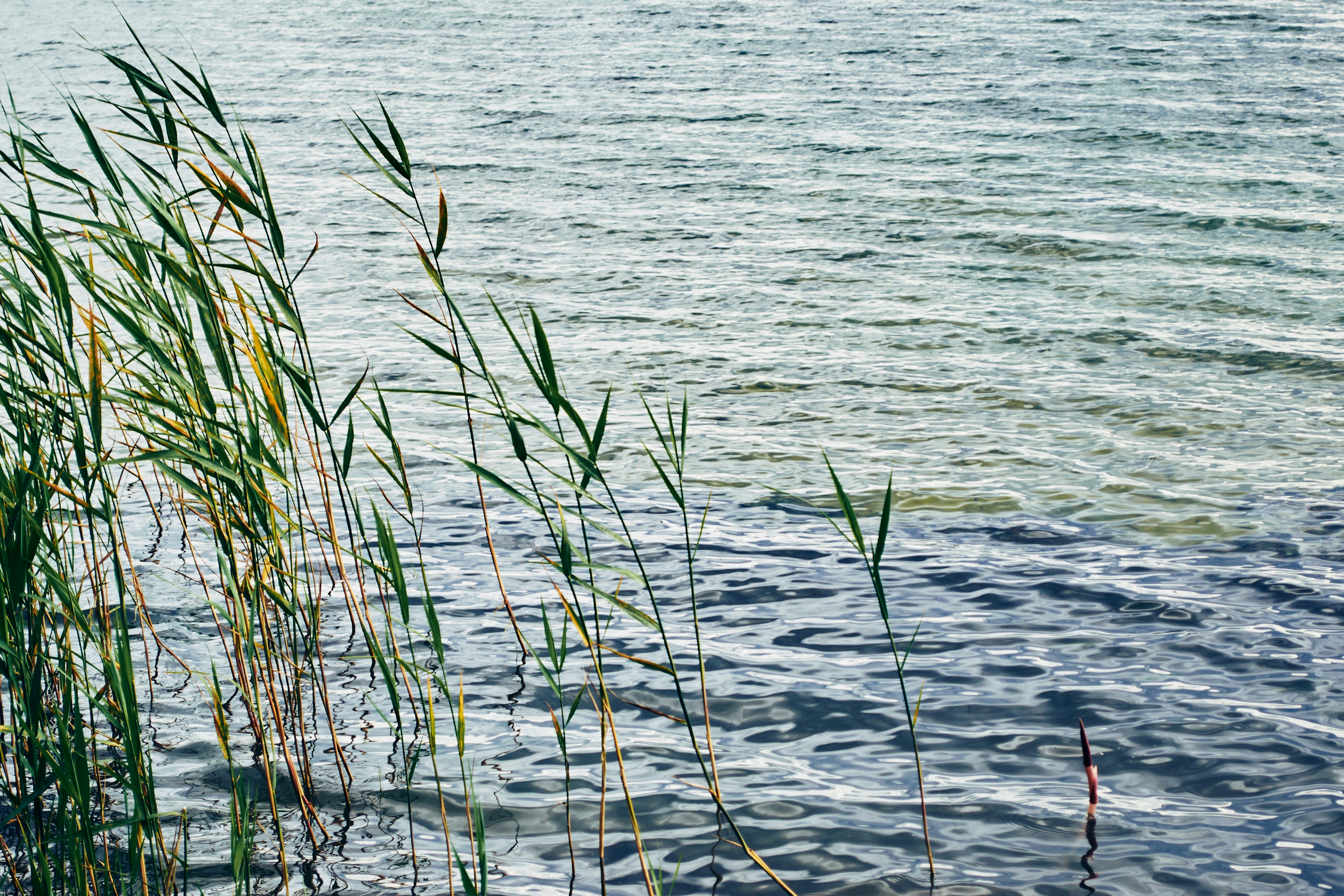 Photo by hannaxsulphur