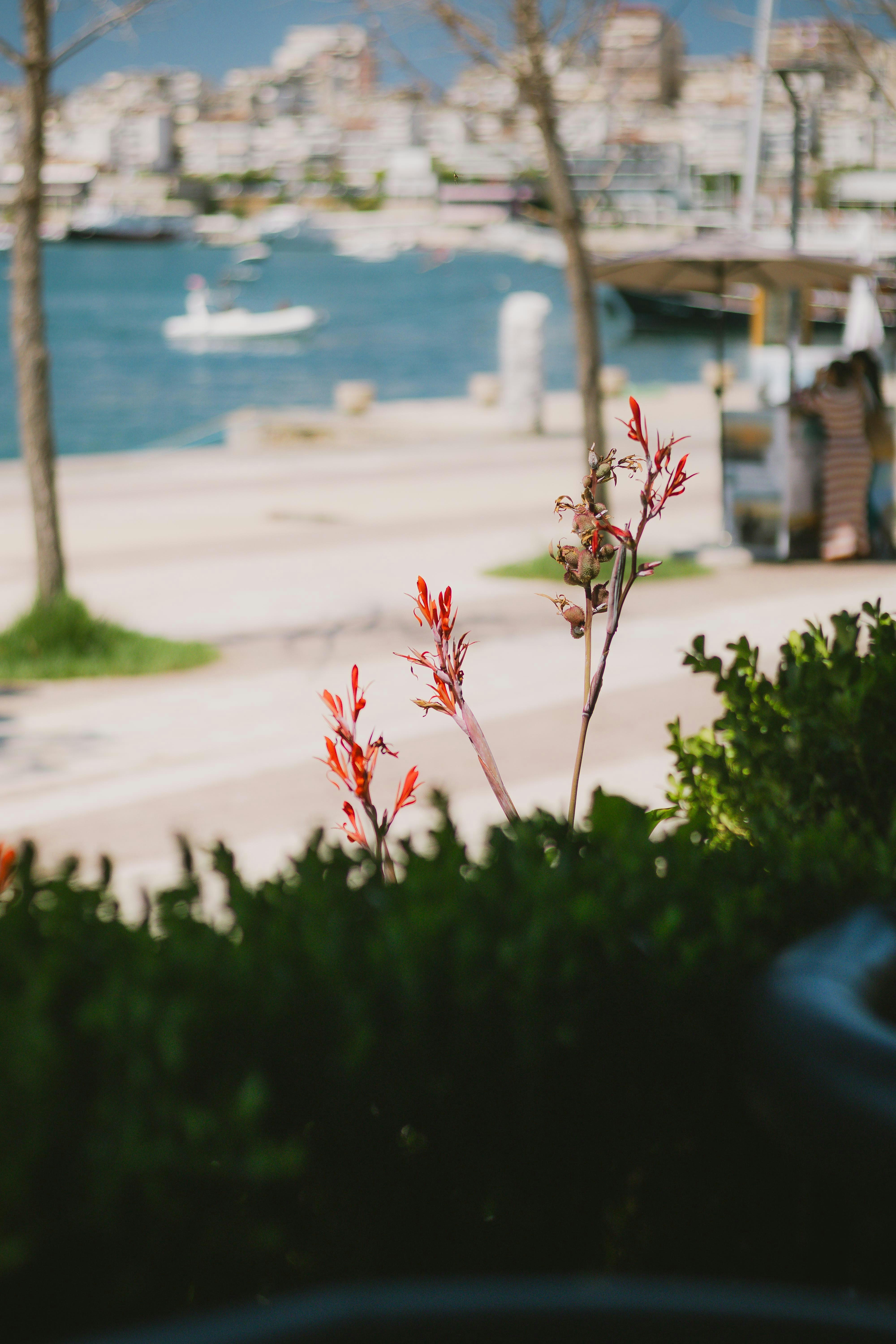 Photo by arlindphotography