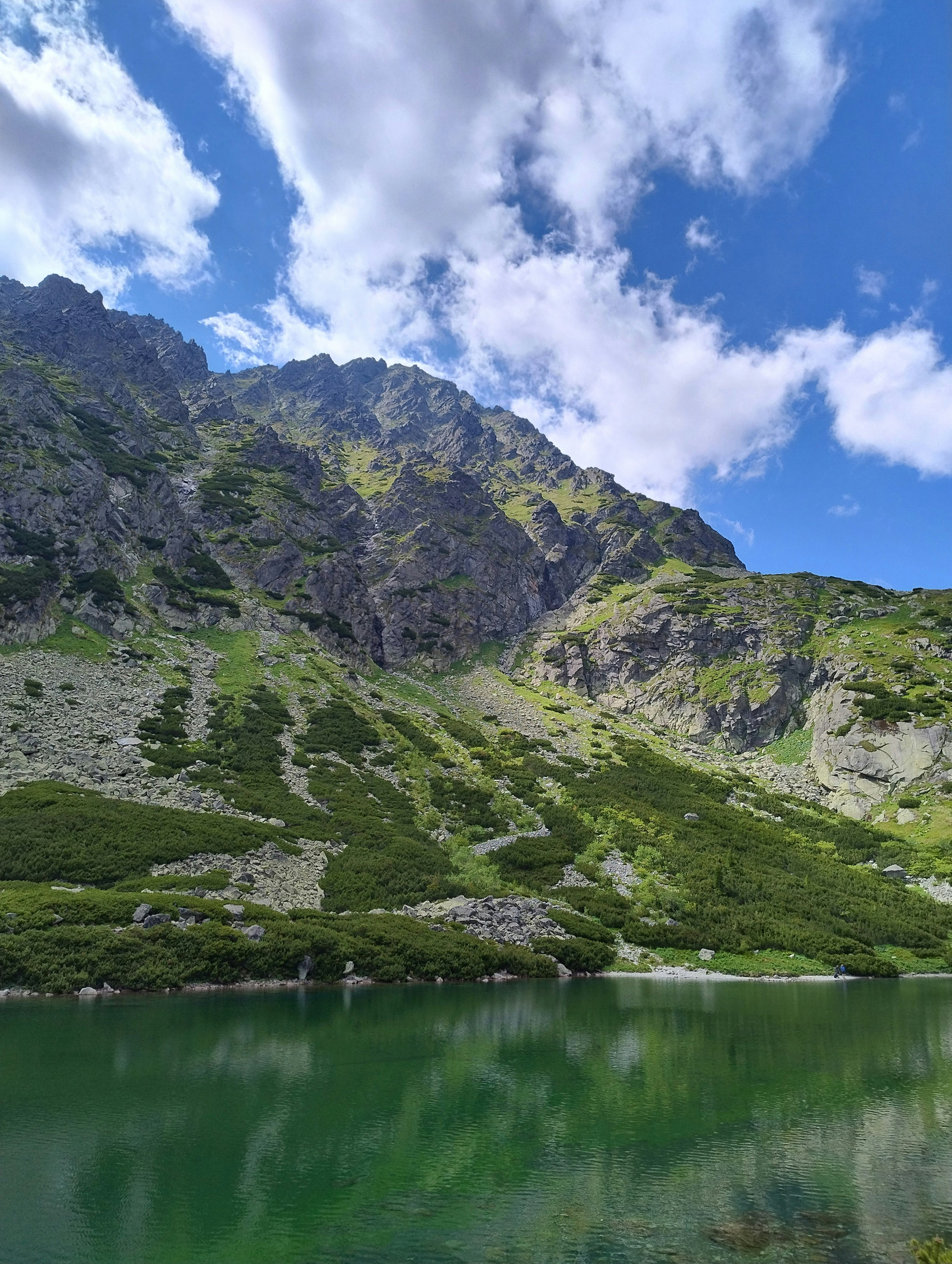 Photo by errante_revolucion