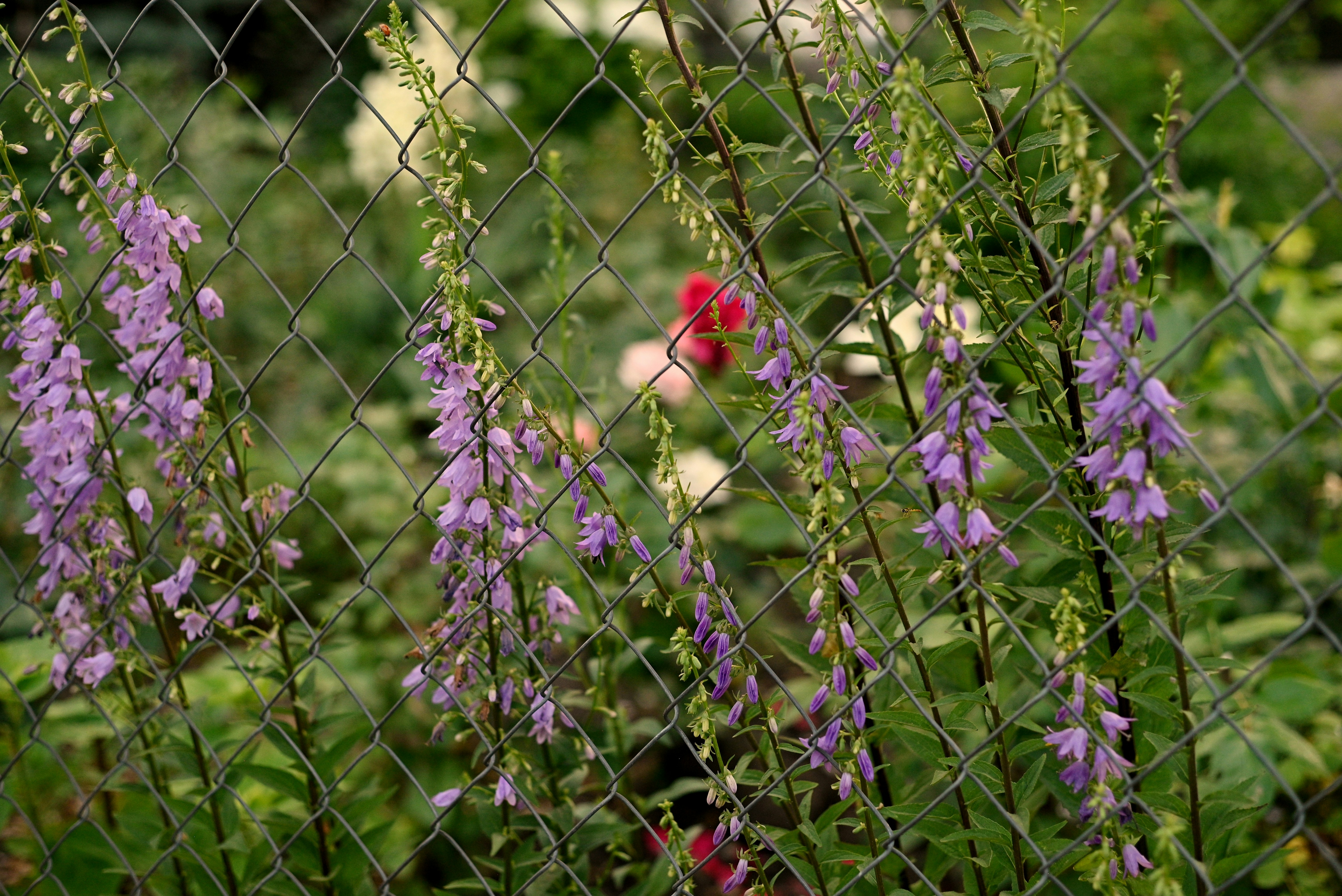 Photo by lvovandrewph