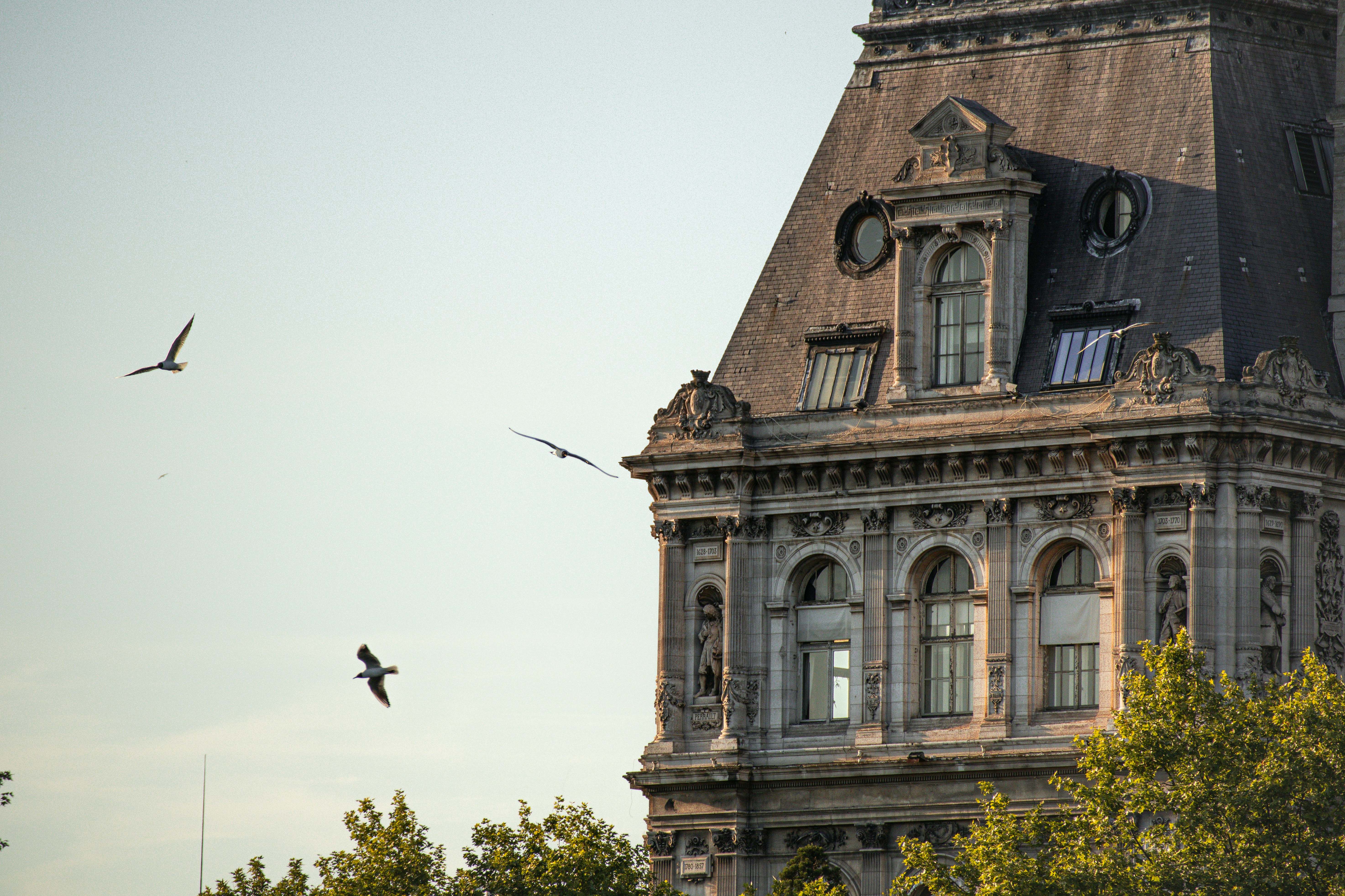 Birds fly near a stately, ornate building.