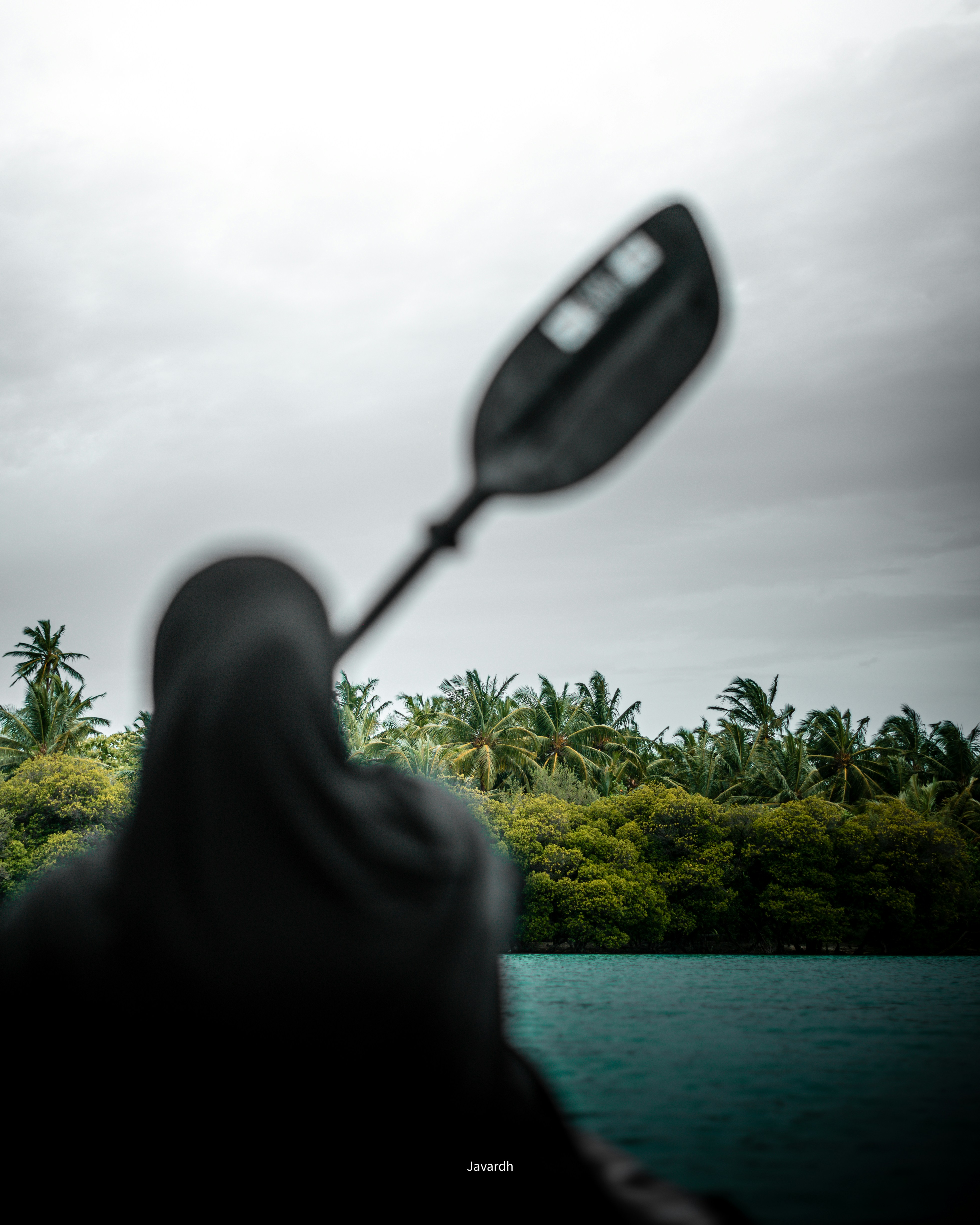Kayak in acqua con uno sfondo tropicale.