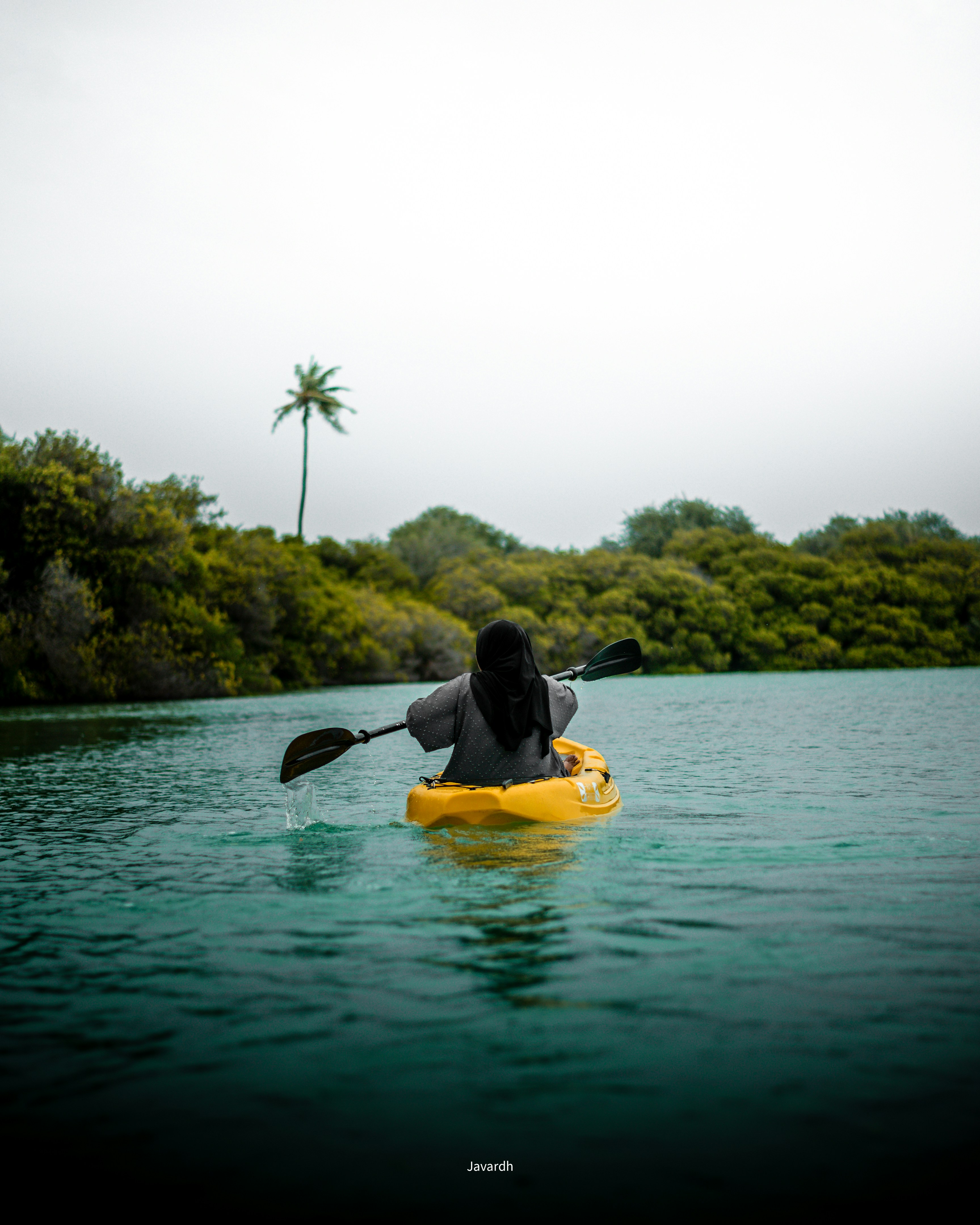 Persona kayak su acqua calma, vicino agli alberi.