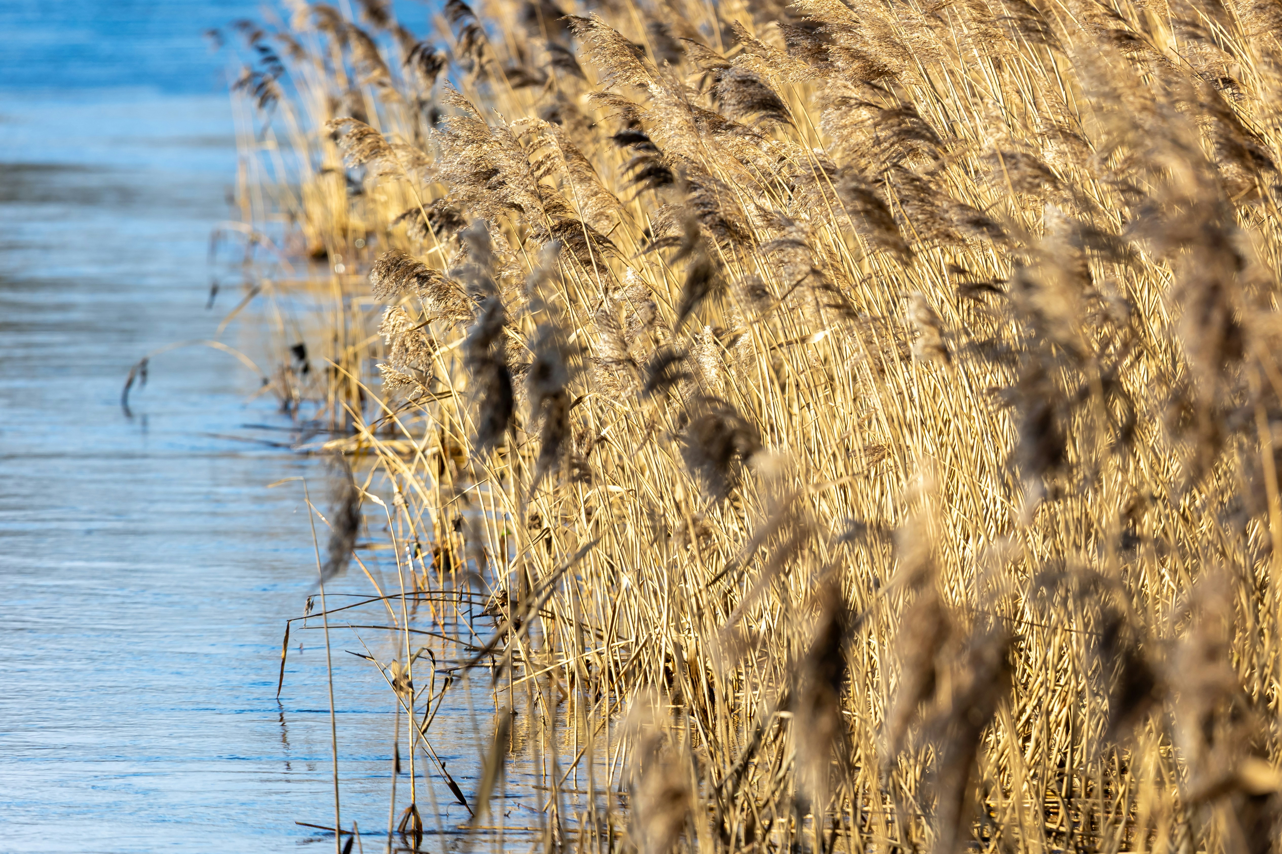 Photo by marvinradke