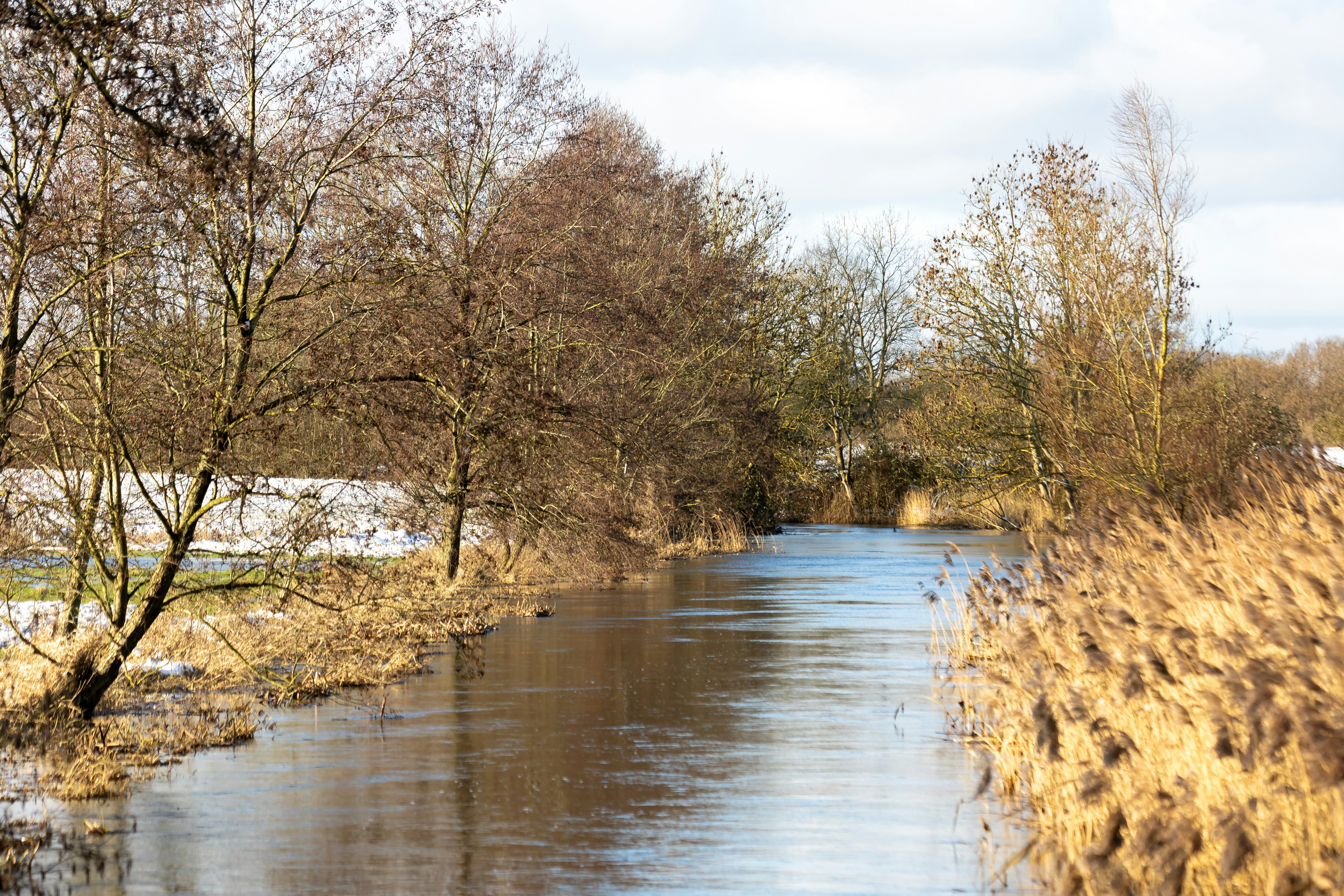 Photo by marvinradke