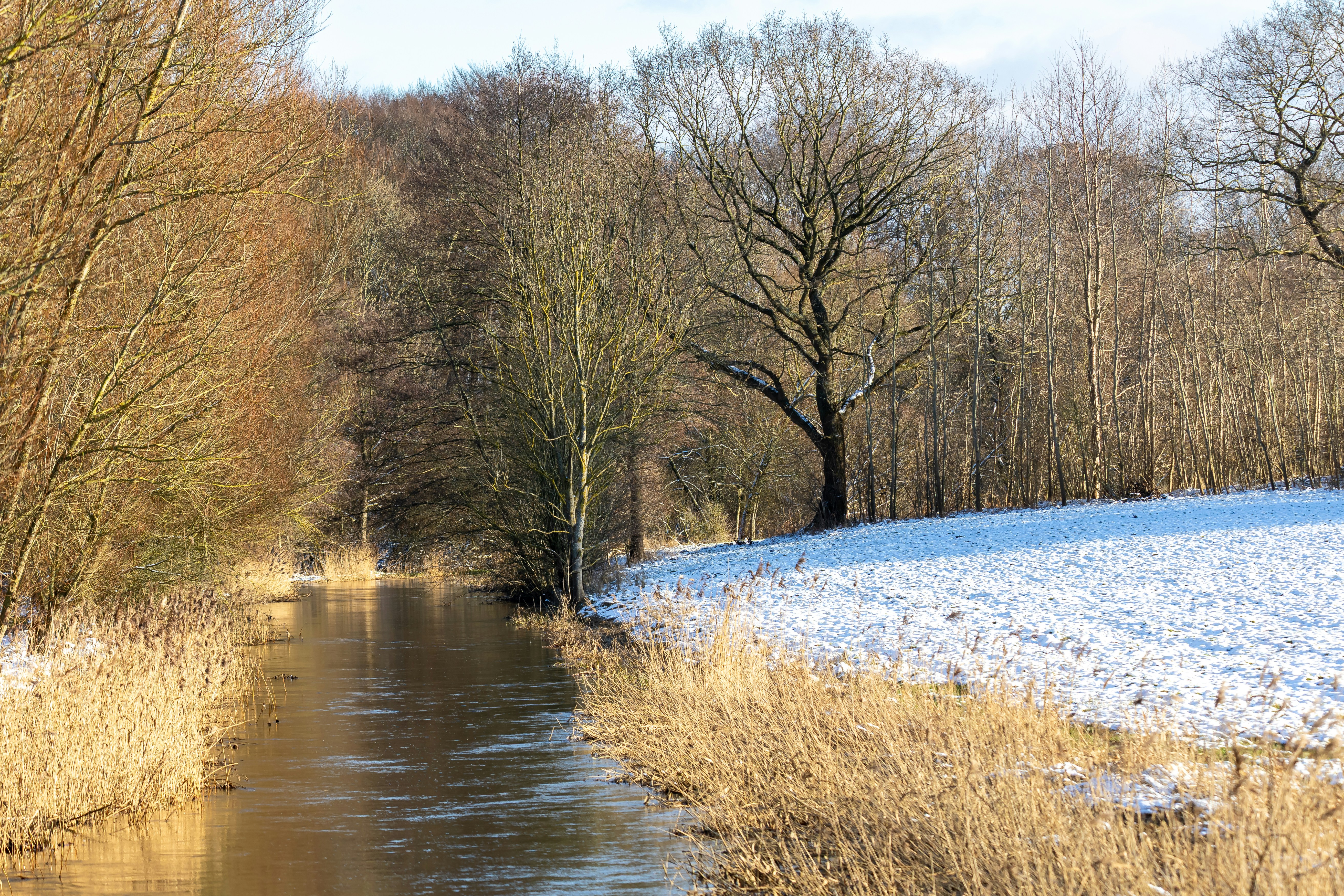 Photo by marvinradke