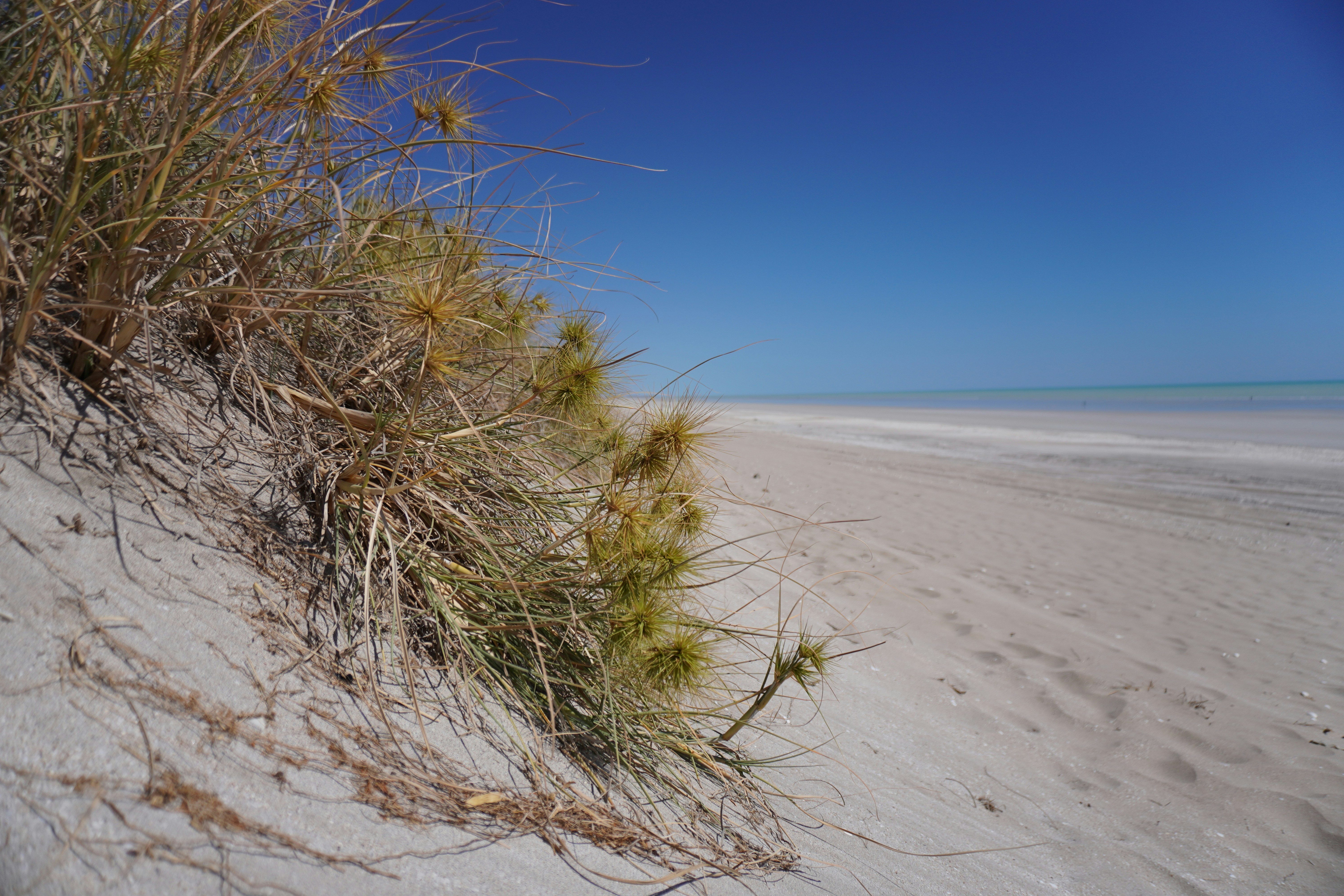 Photo by sea_of_tempels