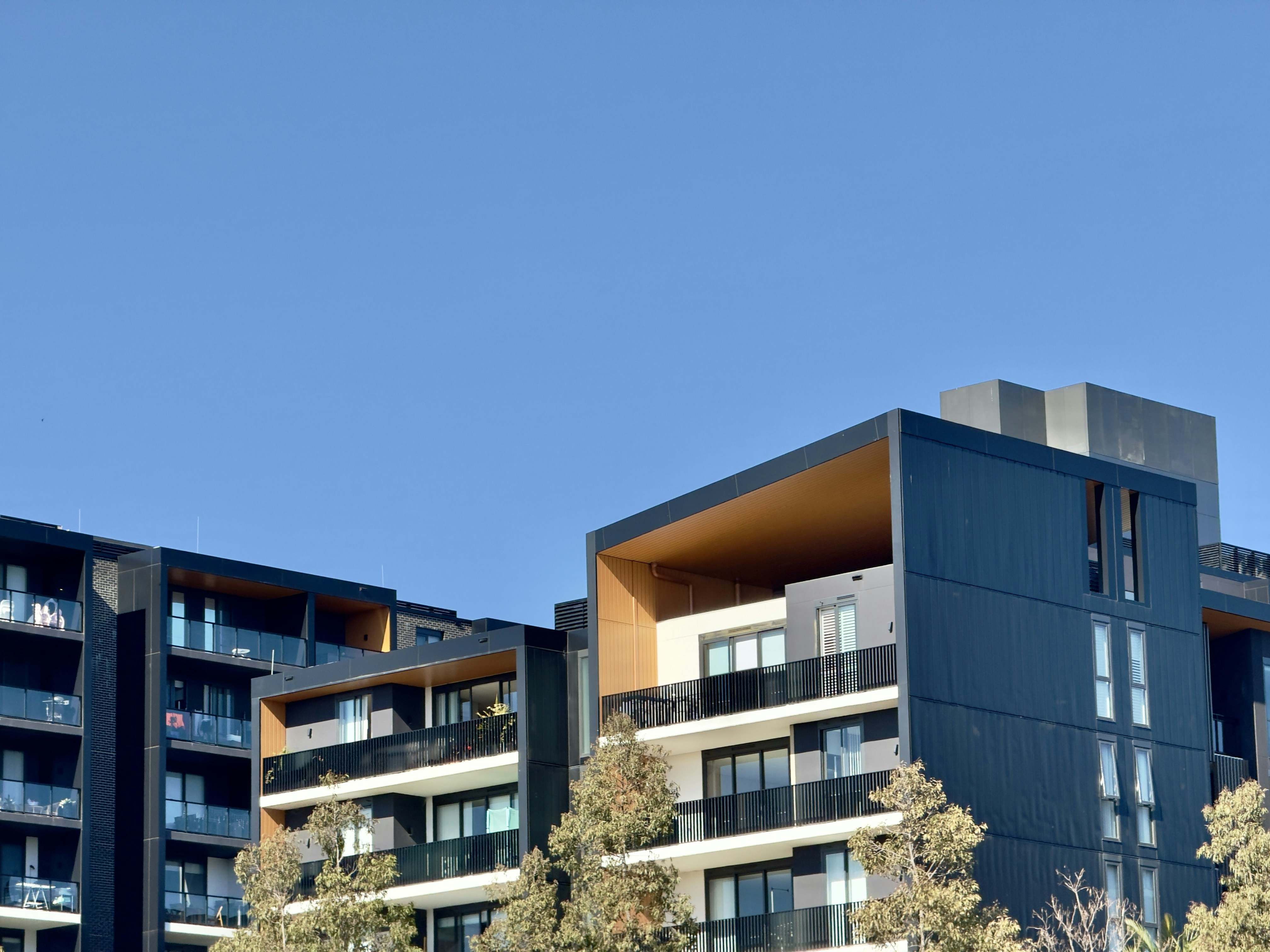 Photo by saman_adibfar