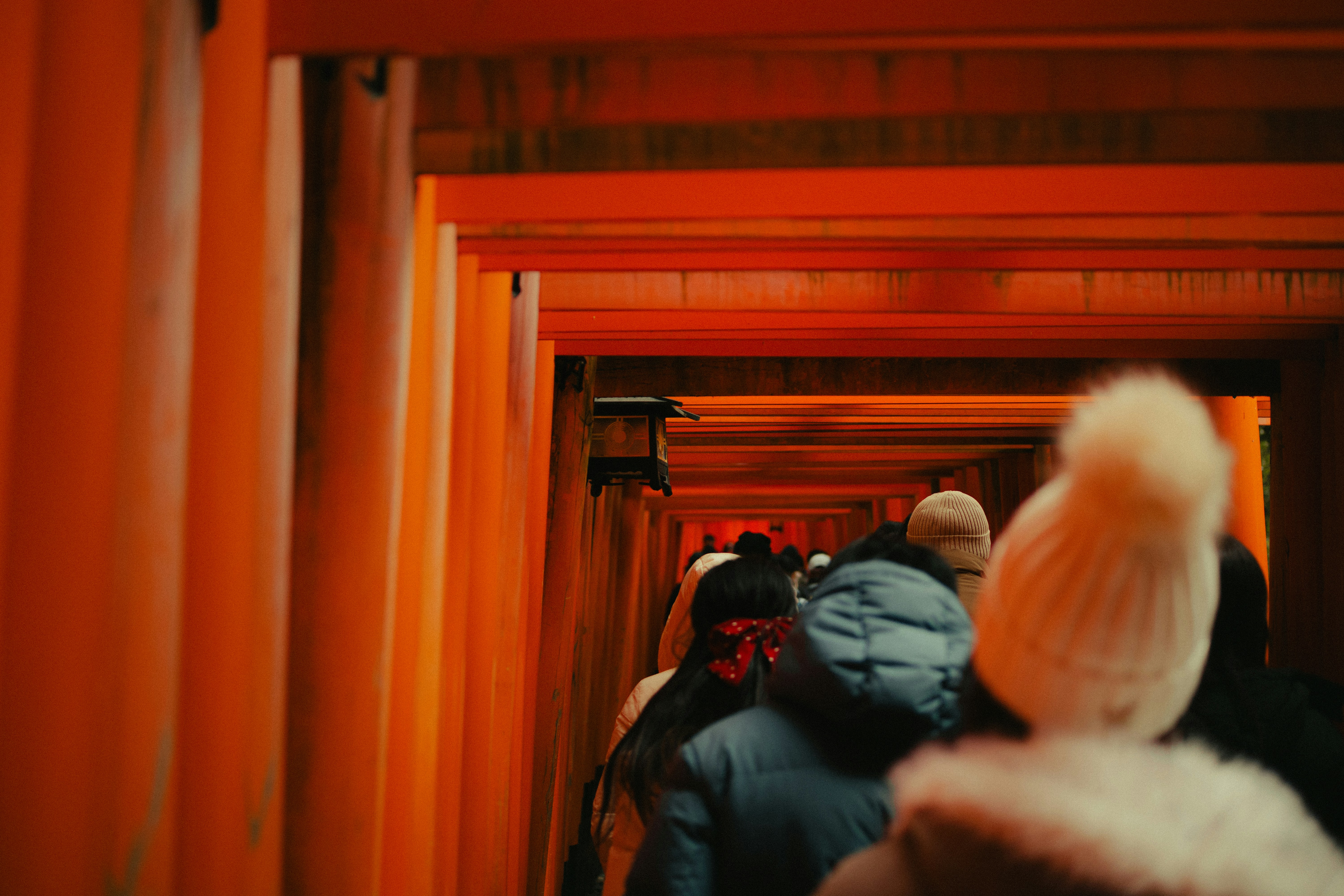 People walk through vibrant orange torii gates.