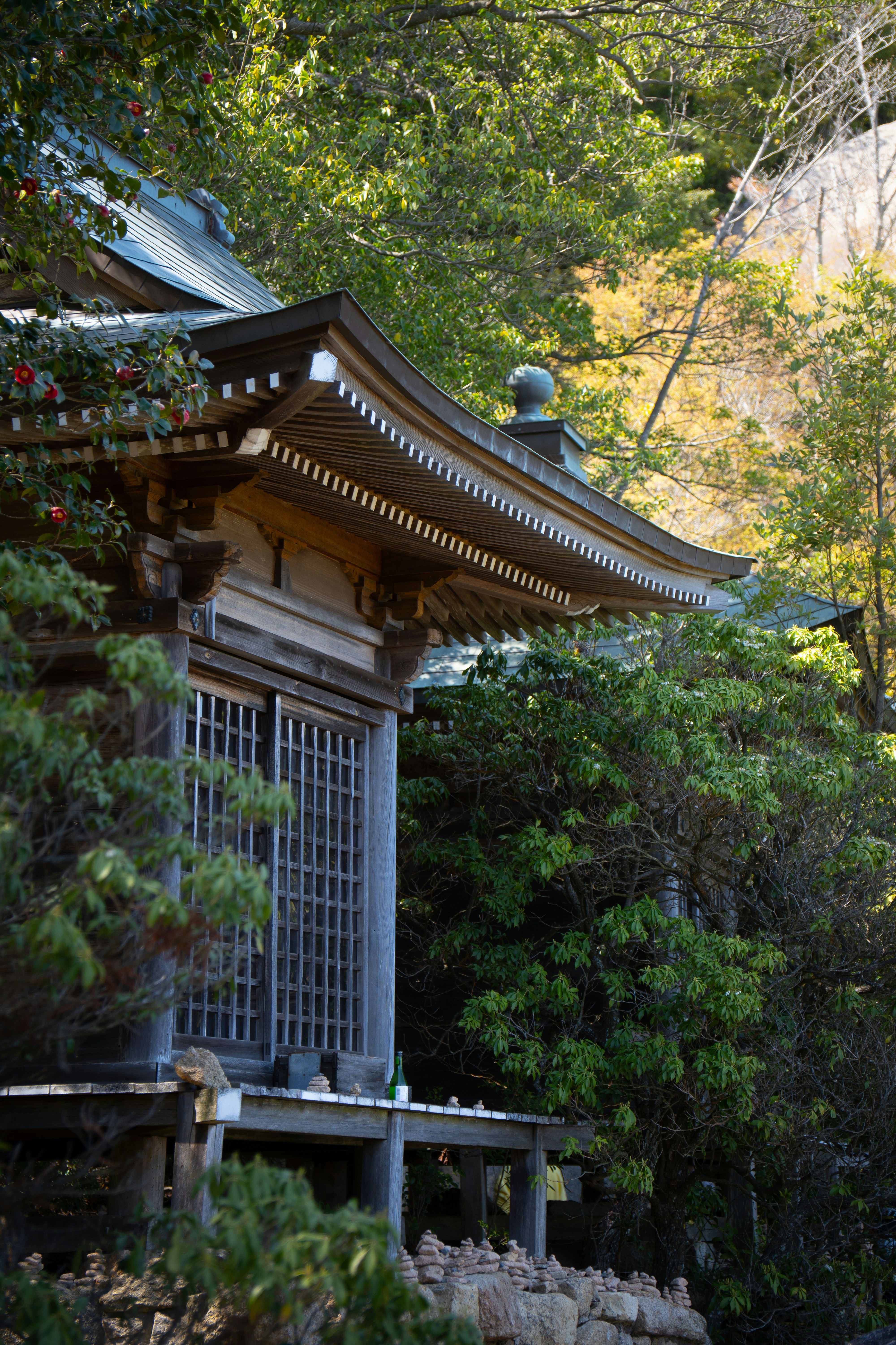 Photo by marcovockner