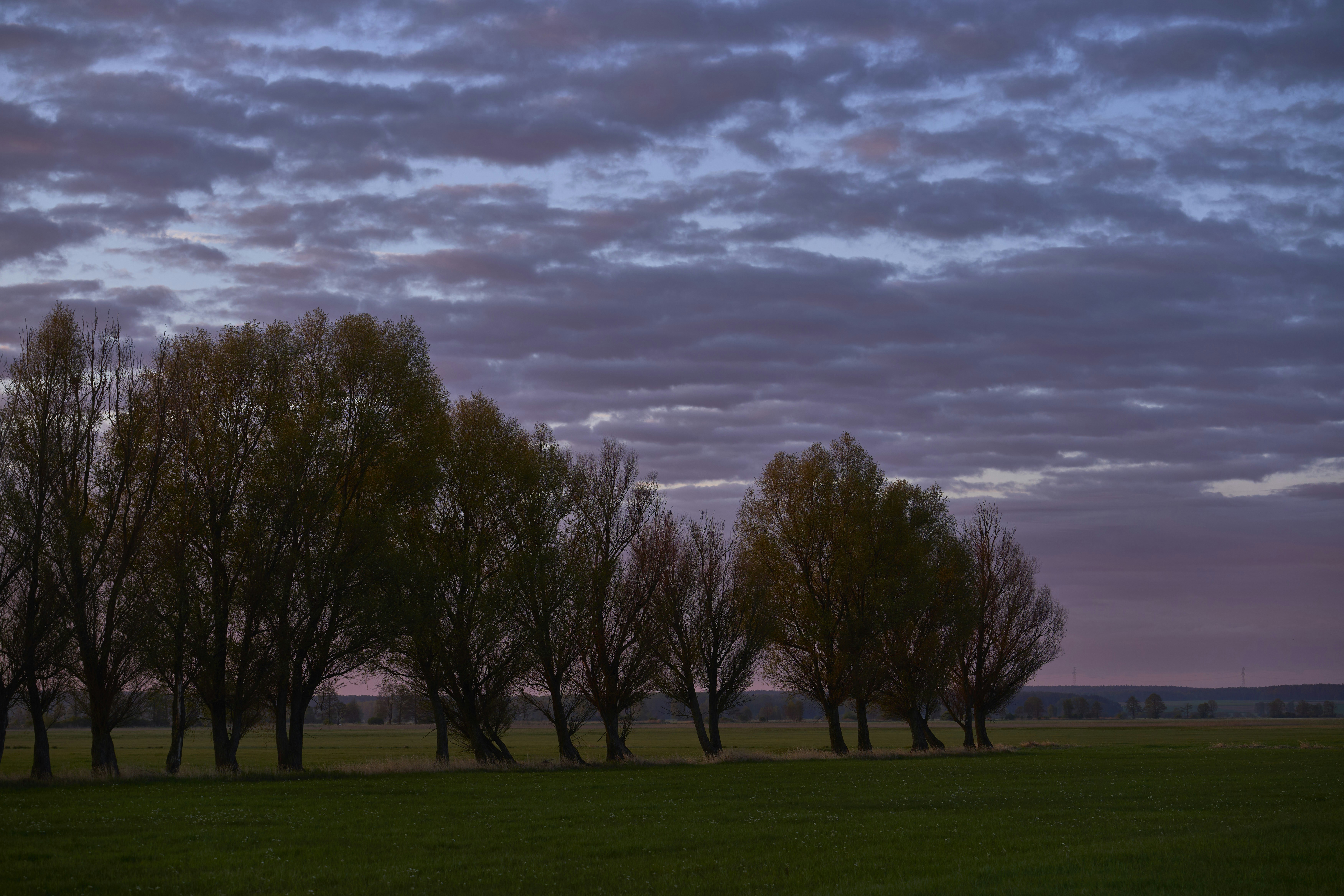 Photo by wolfgang_hasselmann