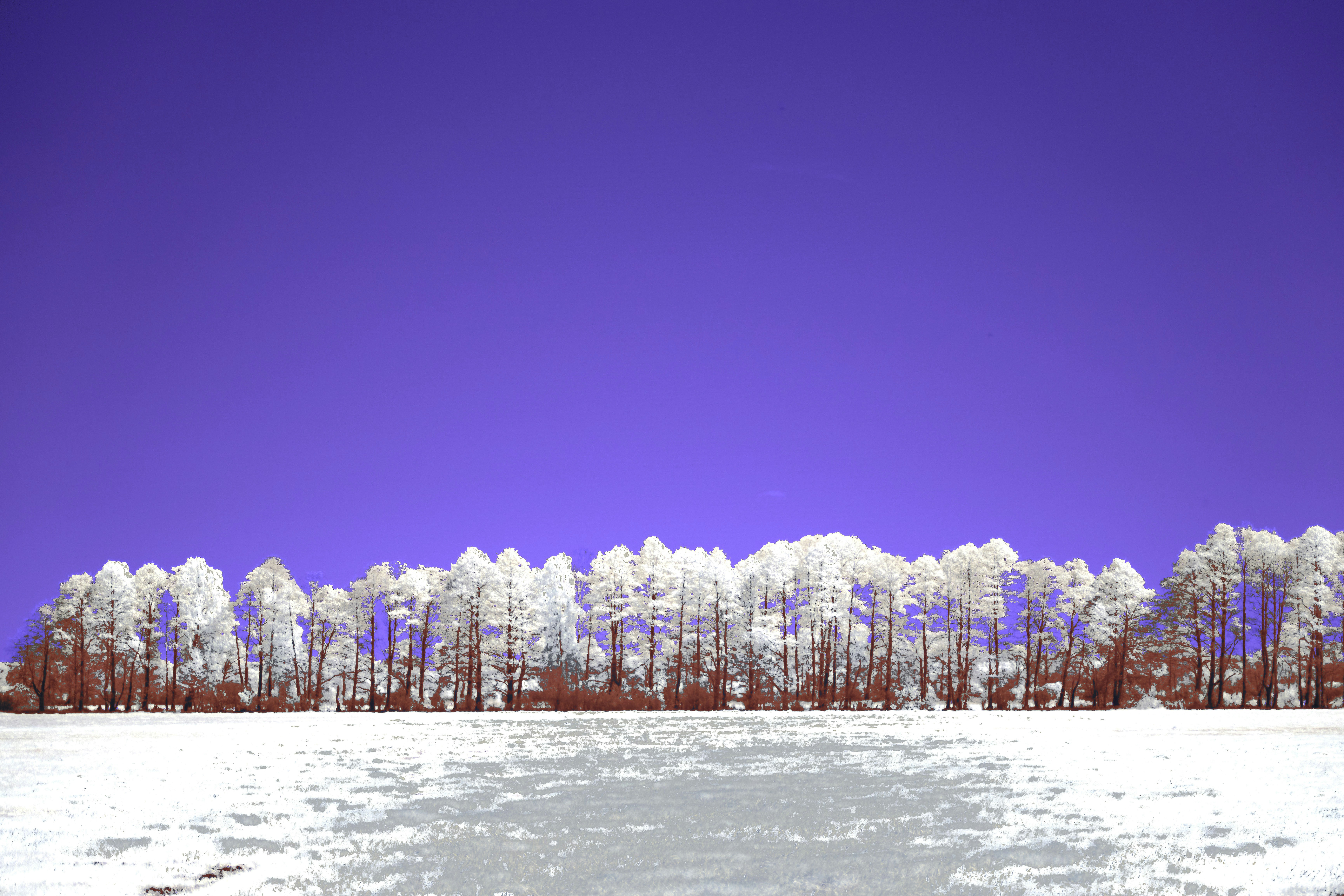 Photo by wolfgang_hasselmann