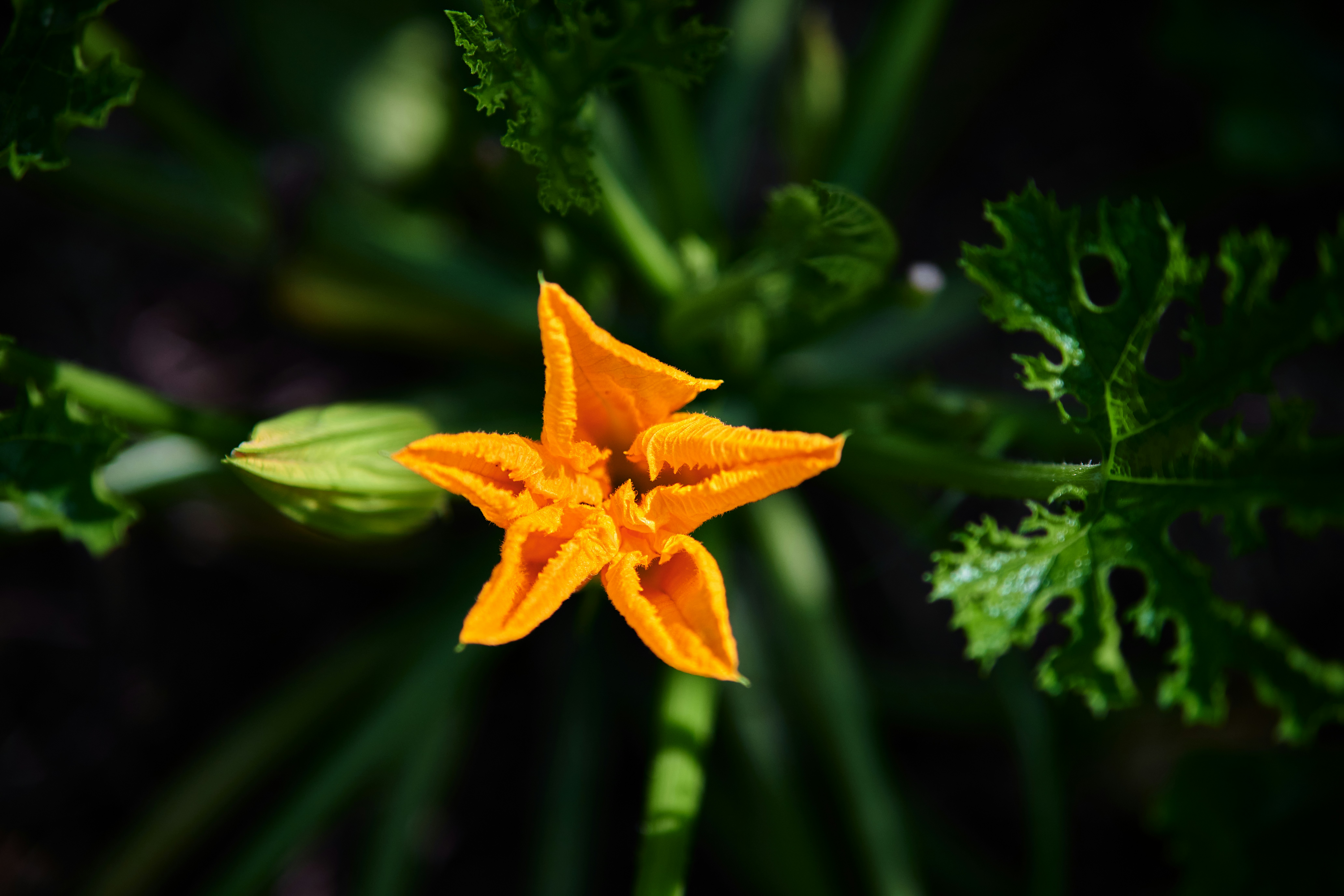 Photo by stefanschwinghammer