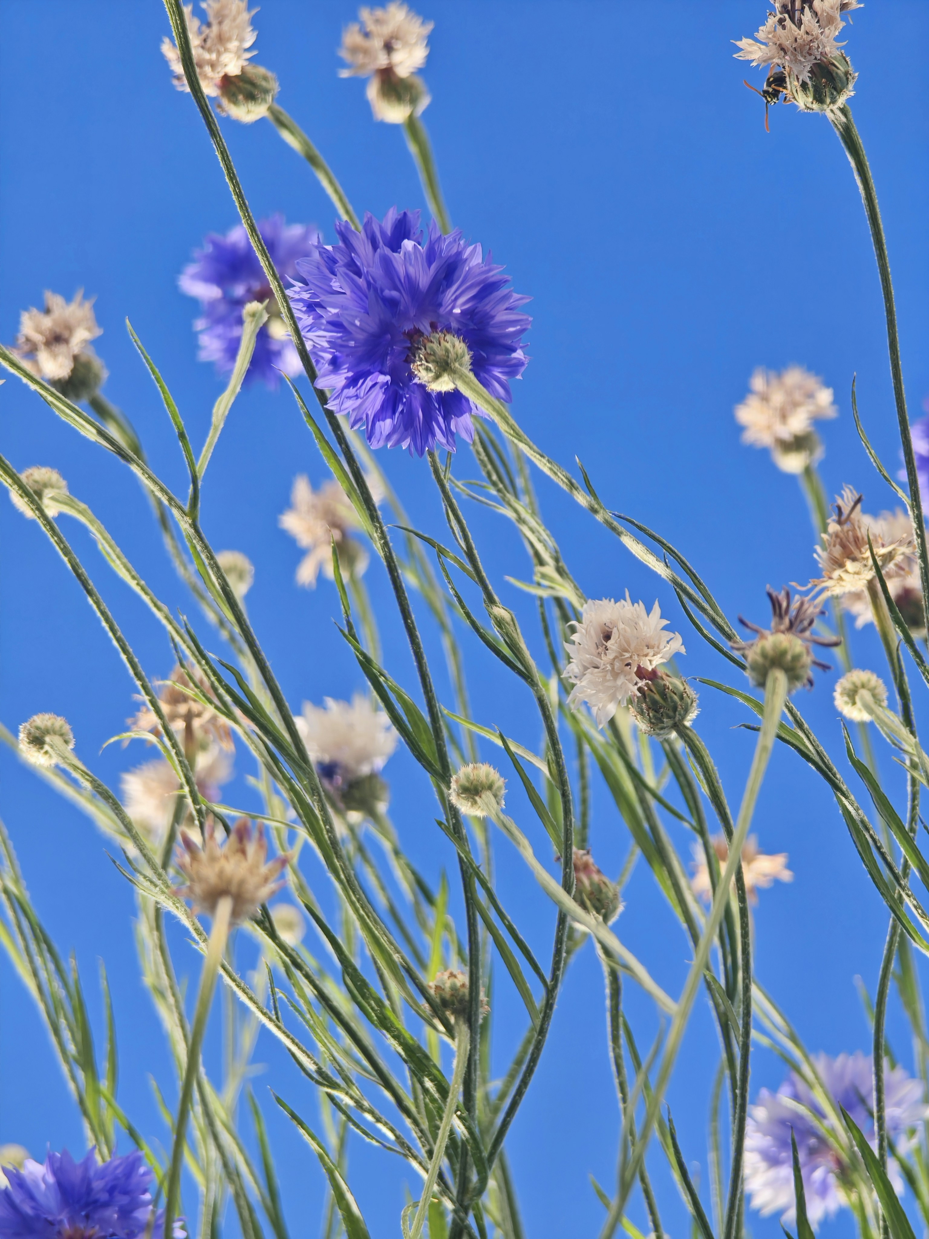 Photo by arcturus_154242273