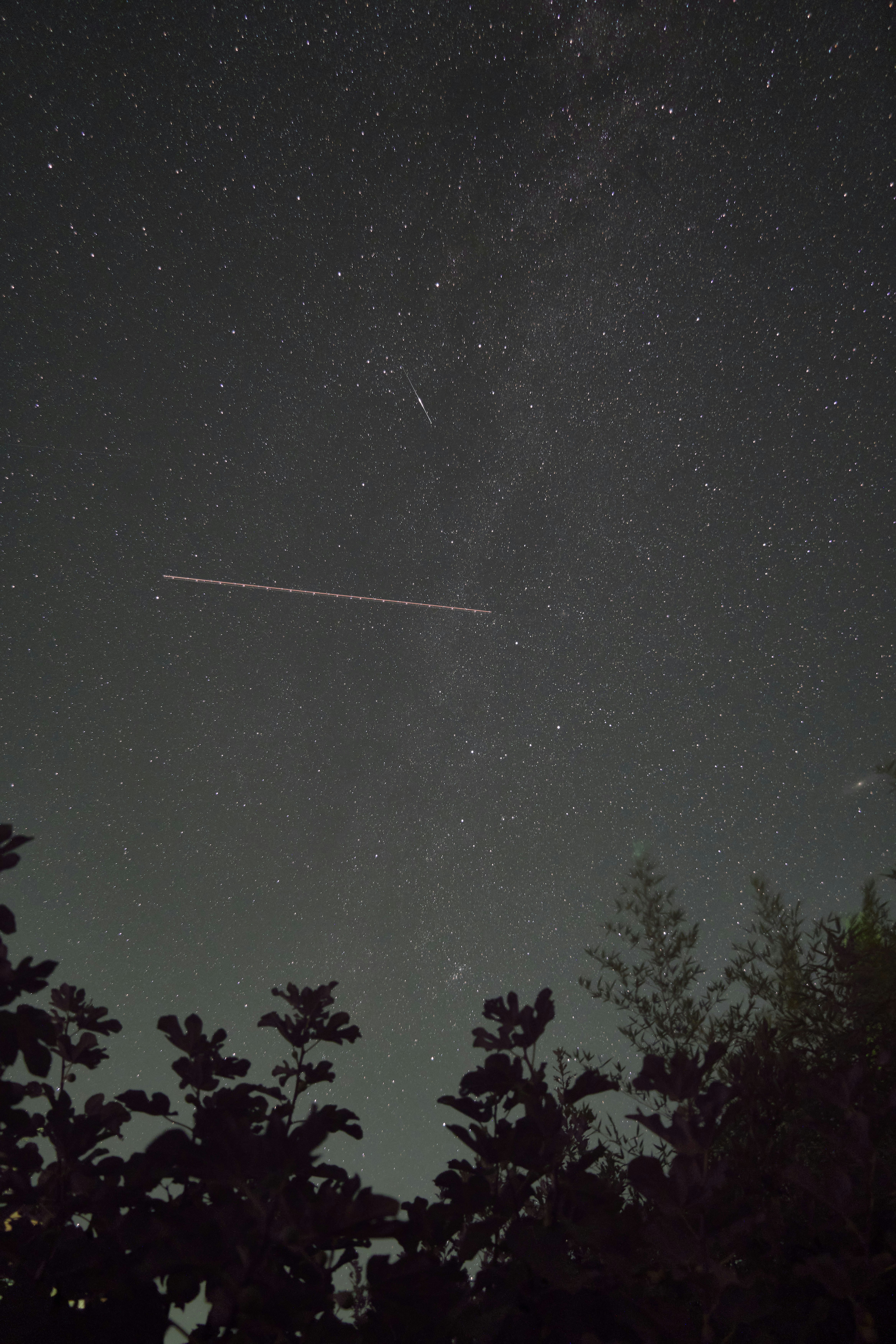 Photo by wolfgang_hasselmann