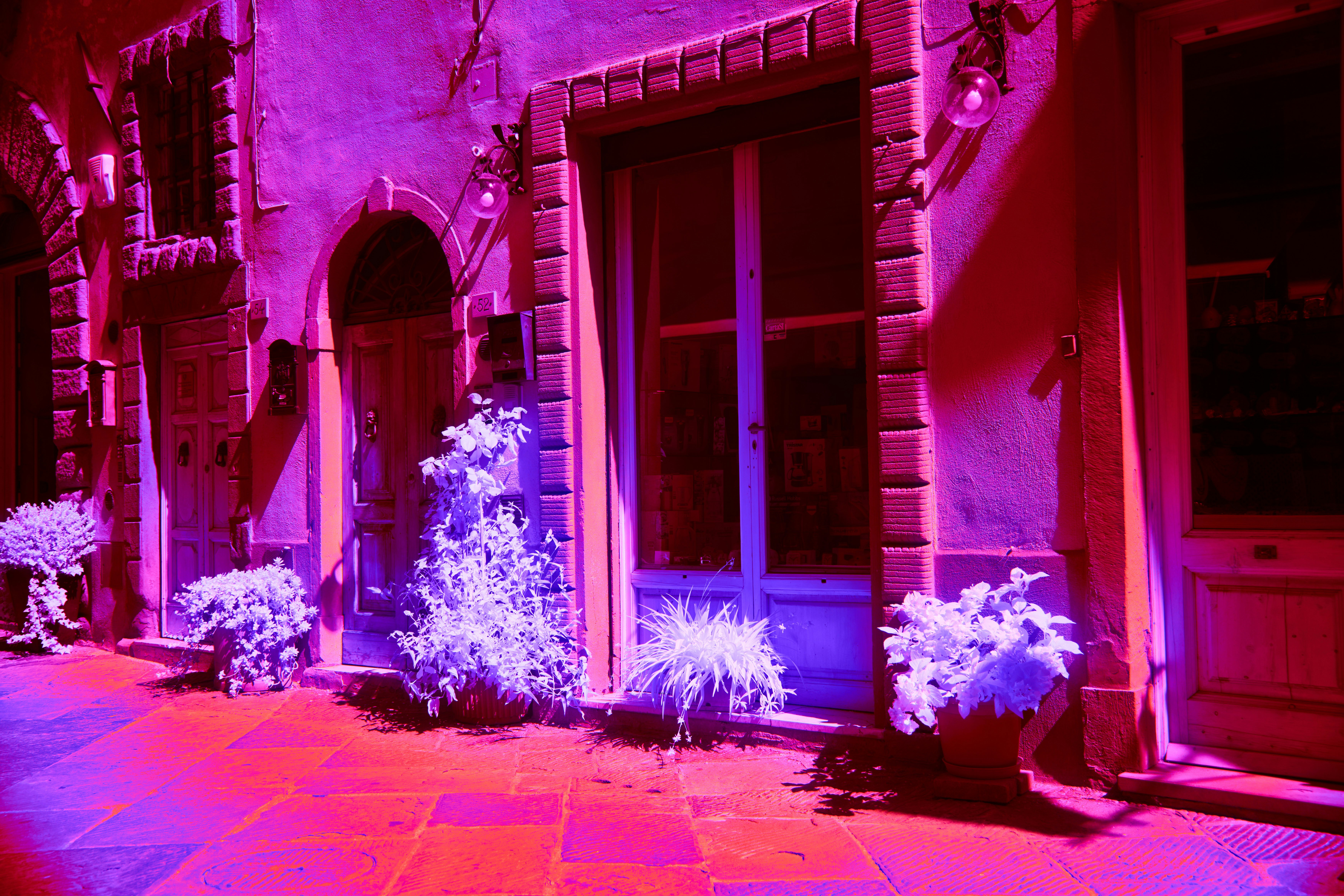 A doorway in a pink-lit alley.