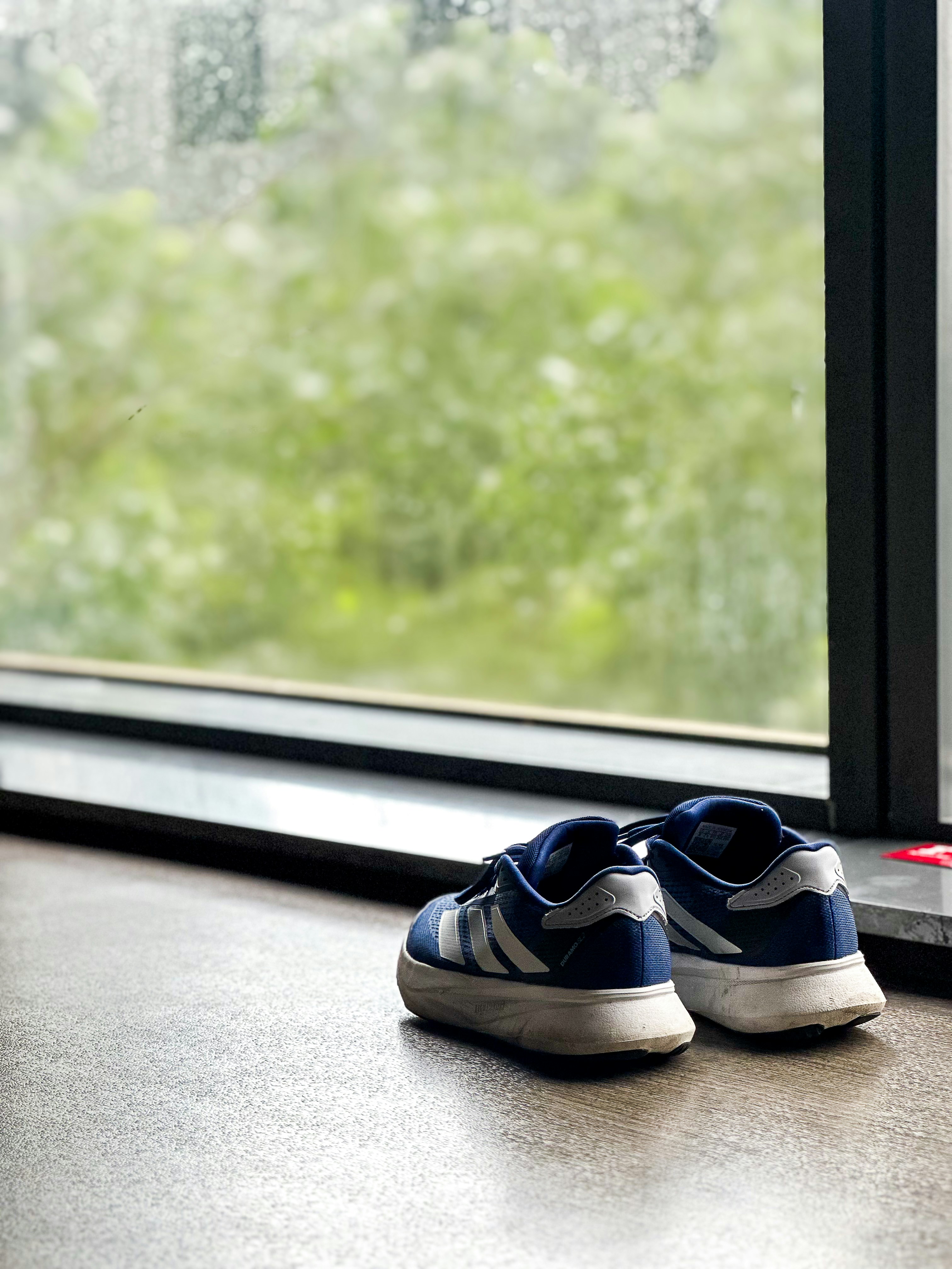 Zapatillas azules y blancas descansan en el alféizar de una ventana.