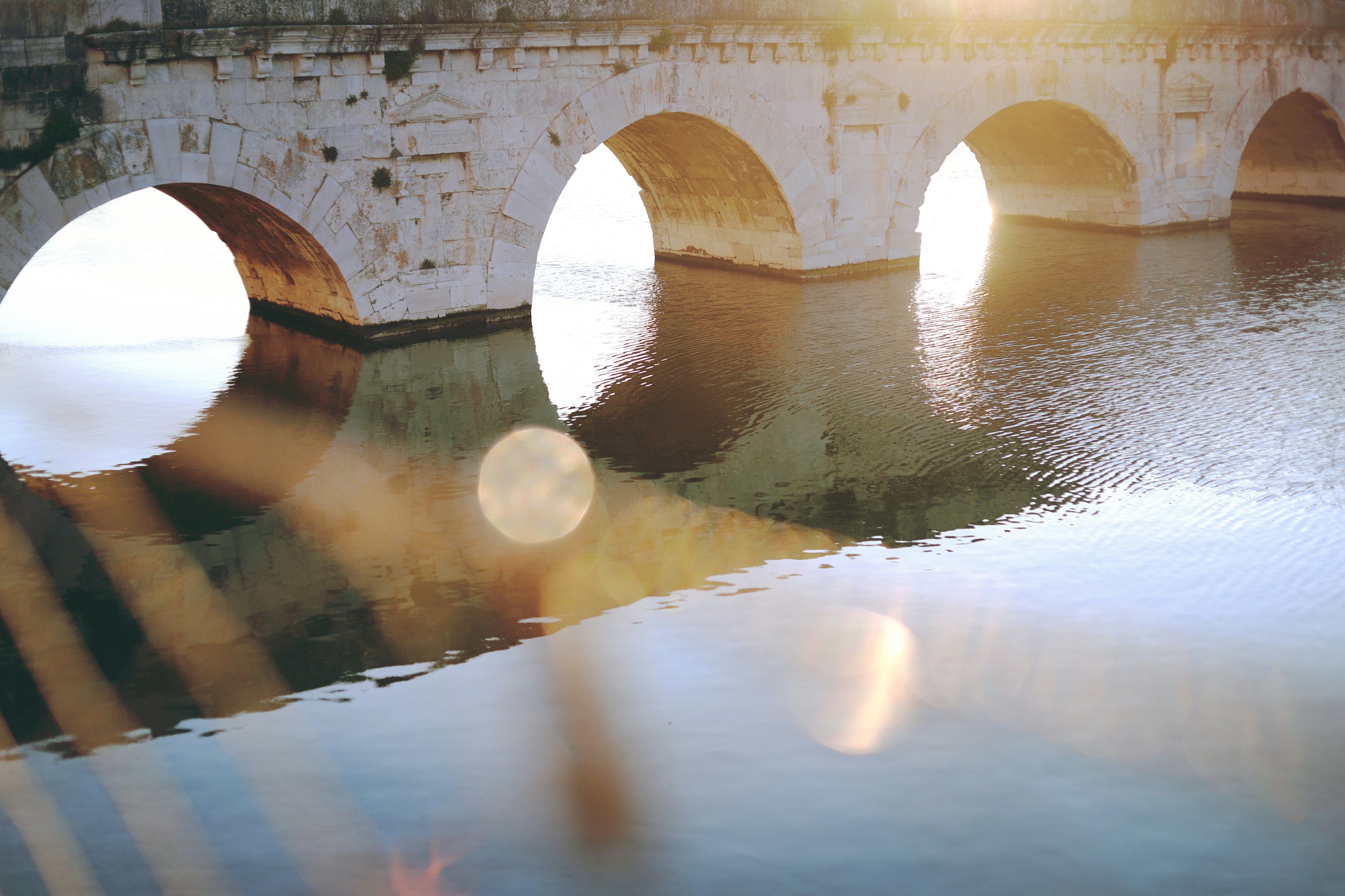 Photo by white_on_white