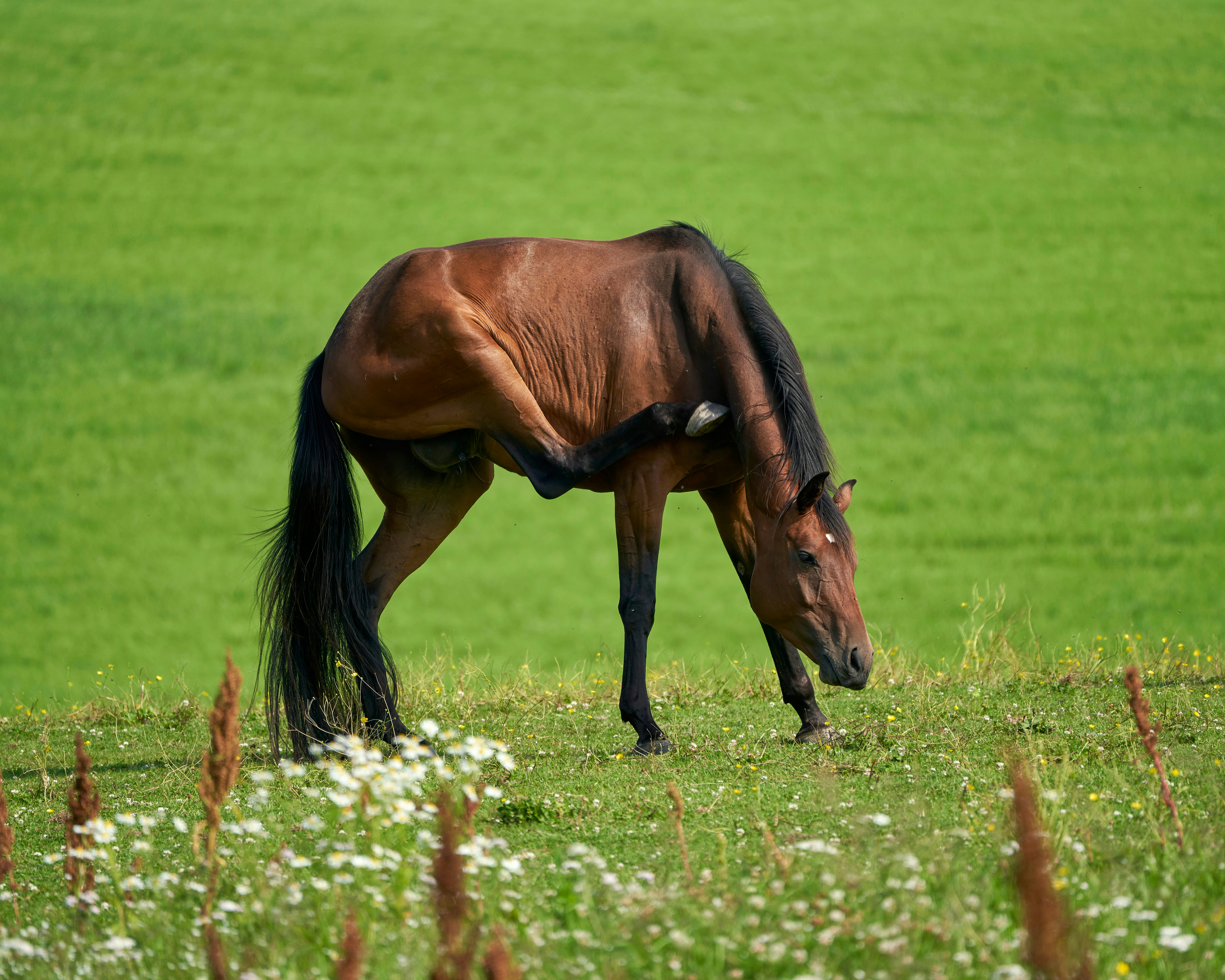 Photo by davotibarna