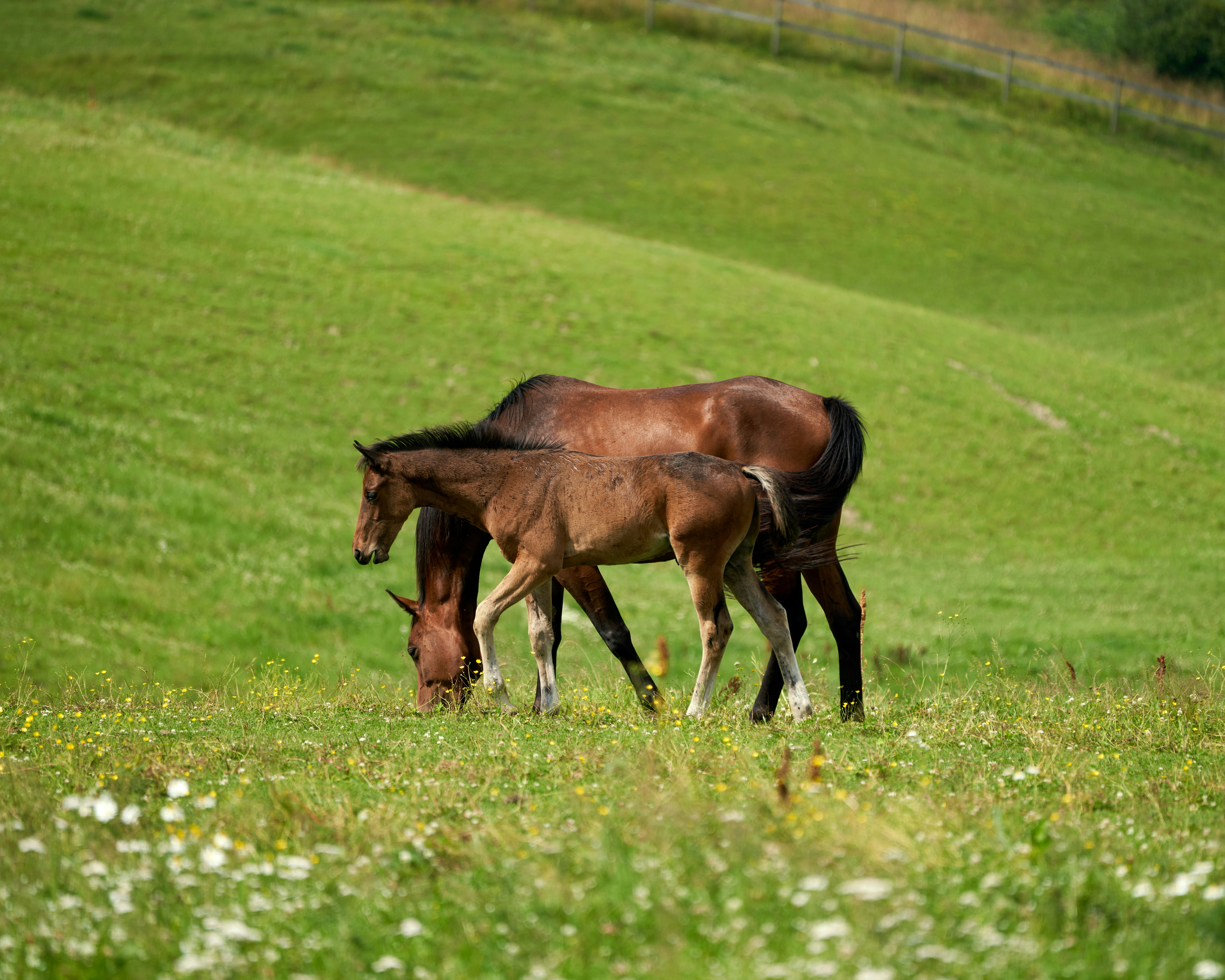 Photo by davotibarna