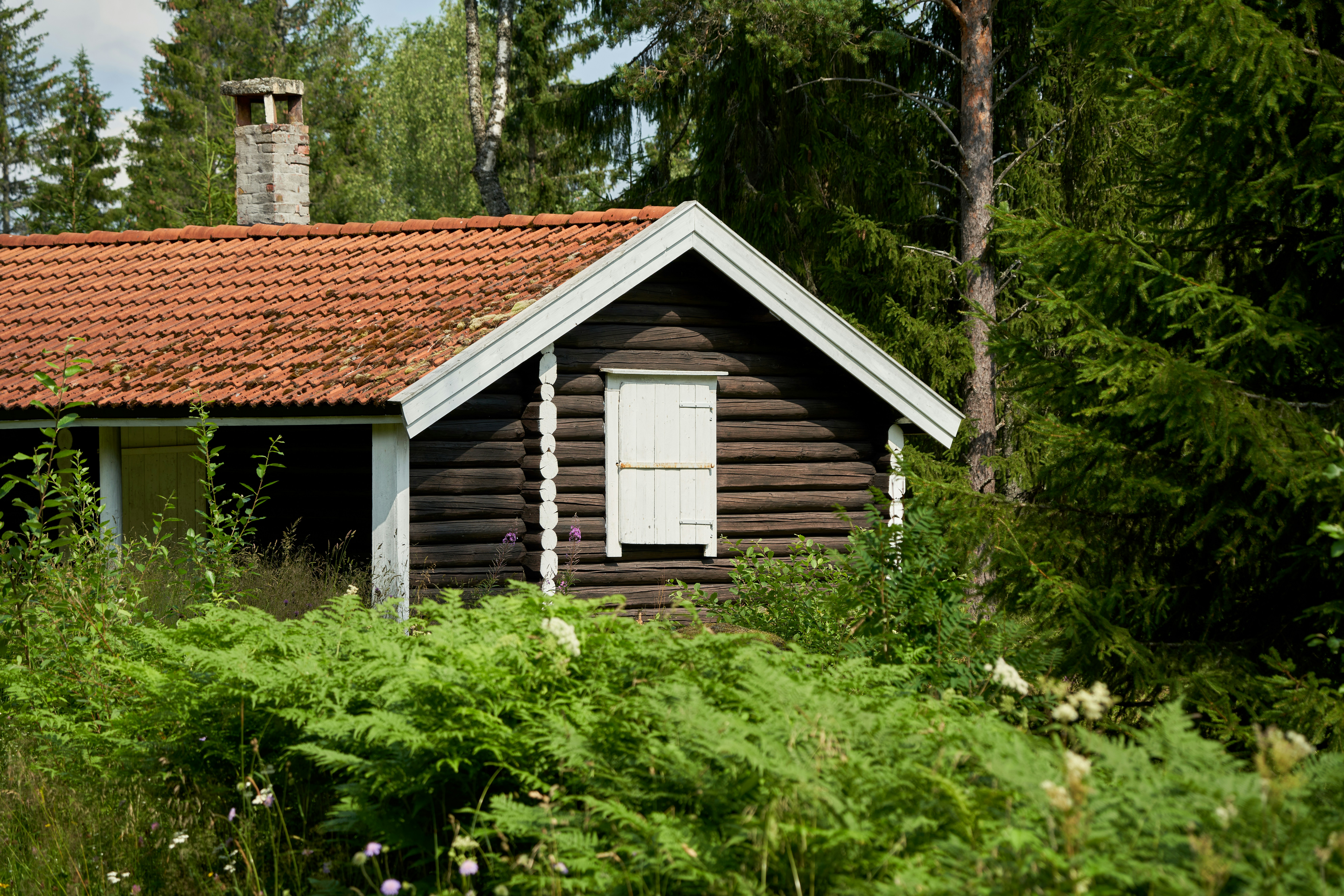 Photo by davotibarna