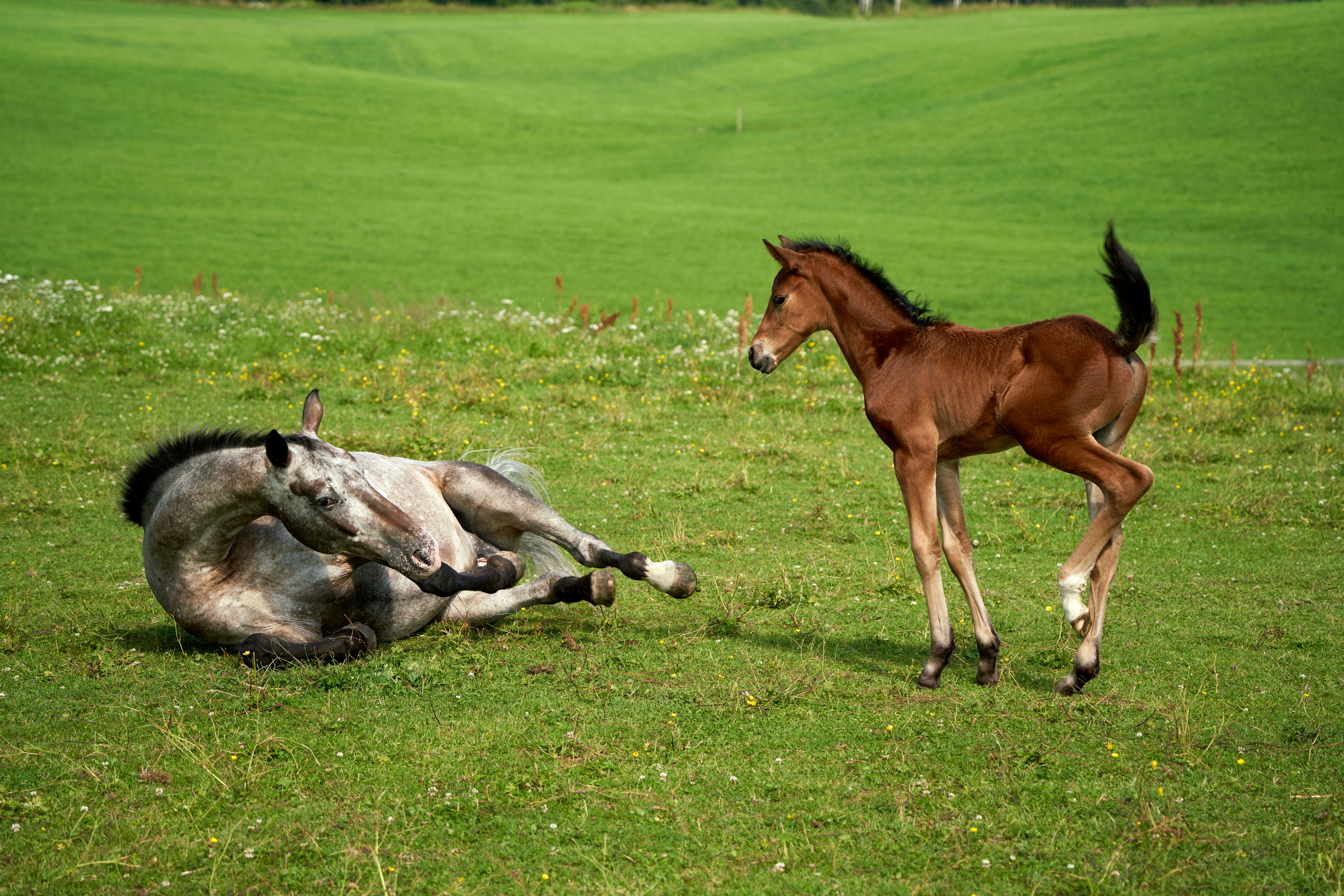 Photo by davotibarna