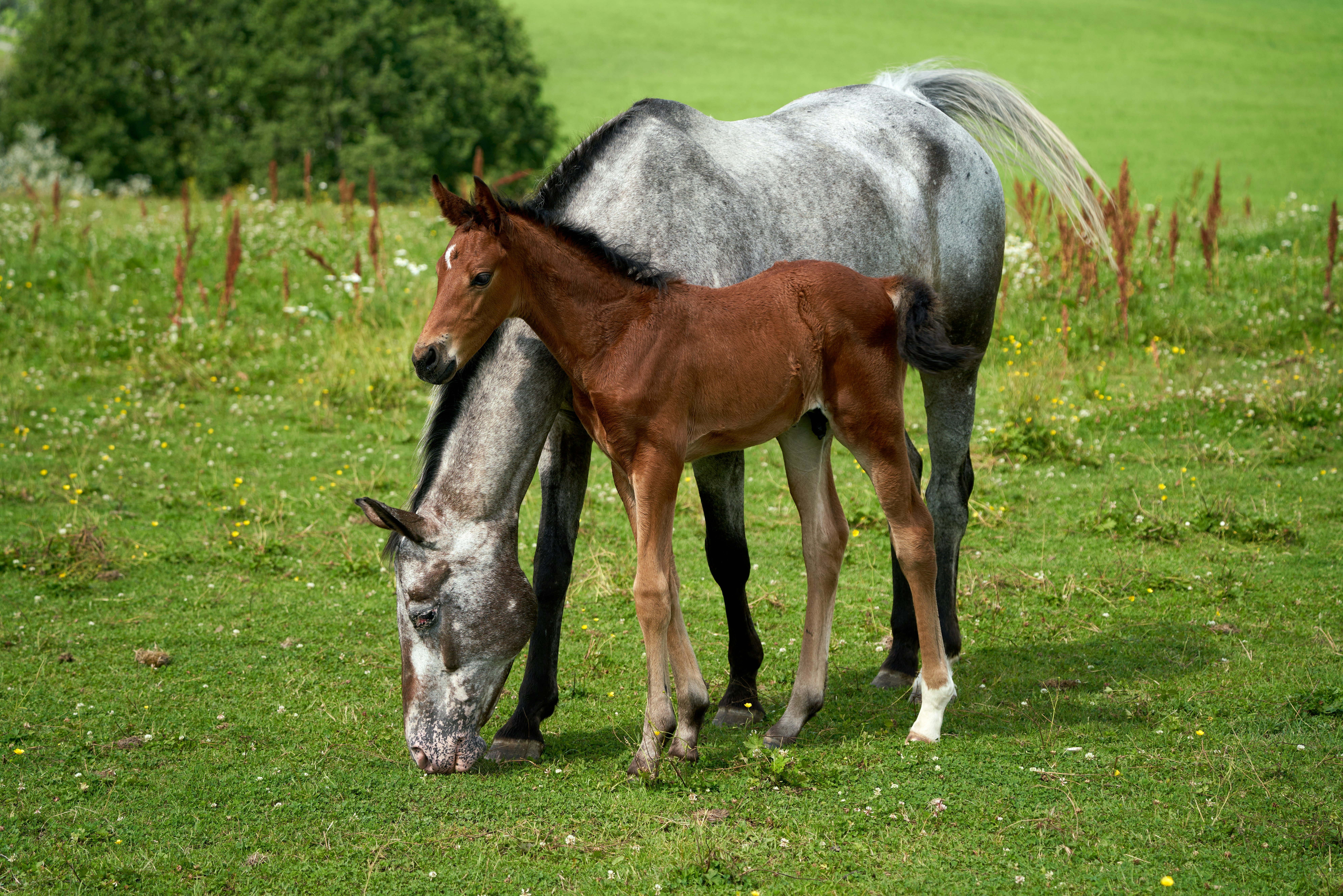 Photo by davotibarna