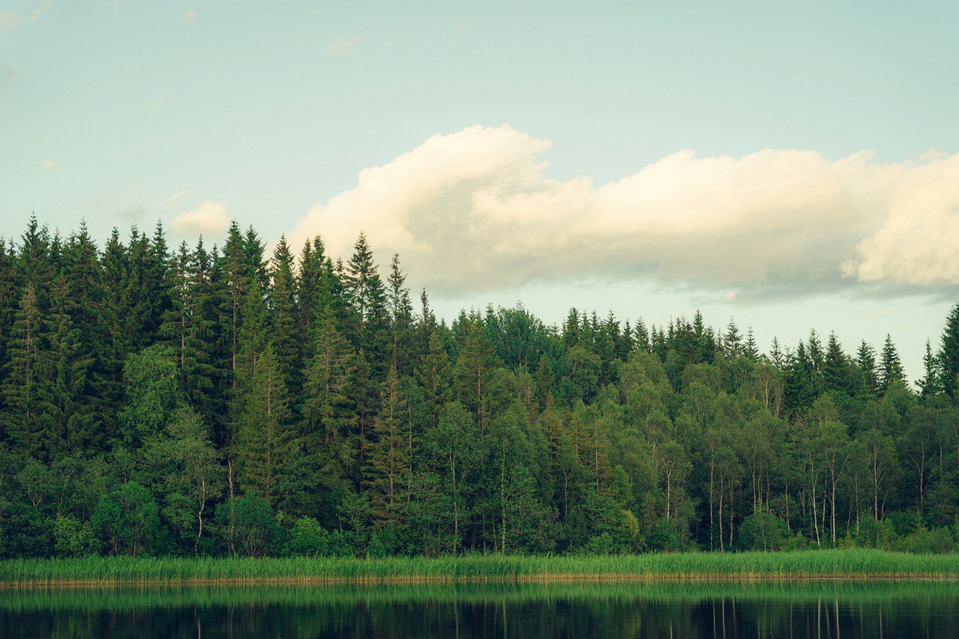 Freilinger See Landschaft