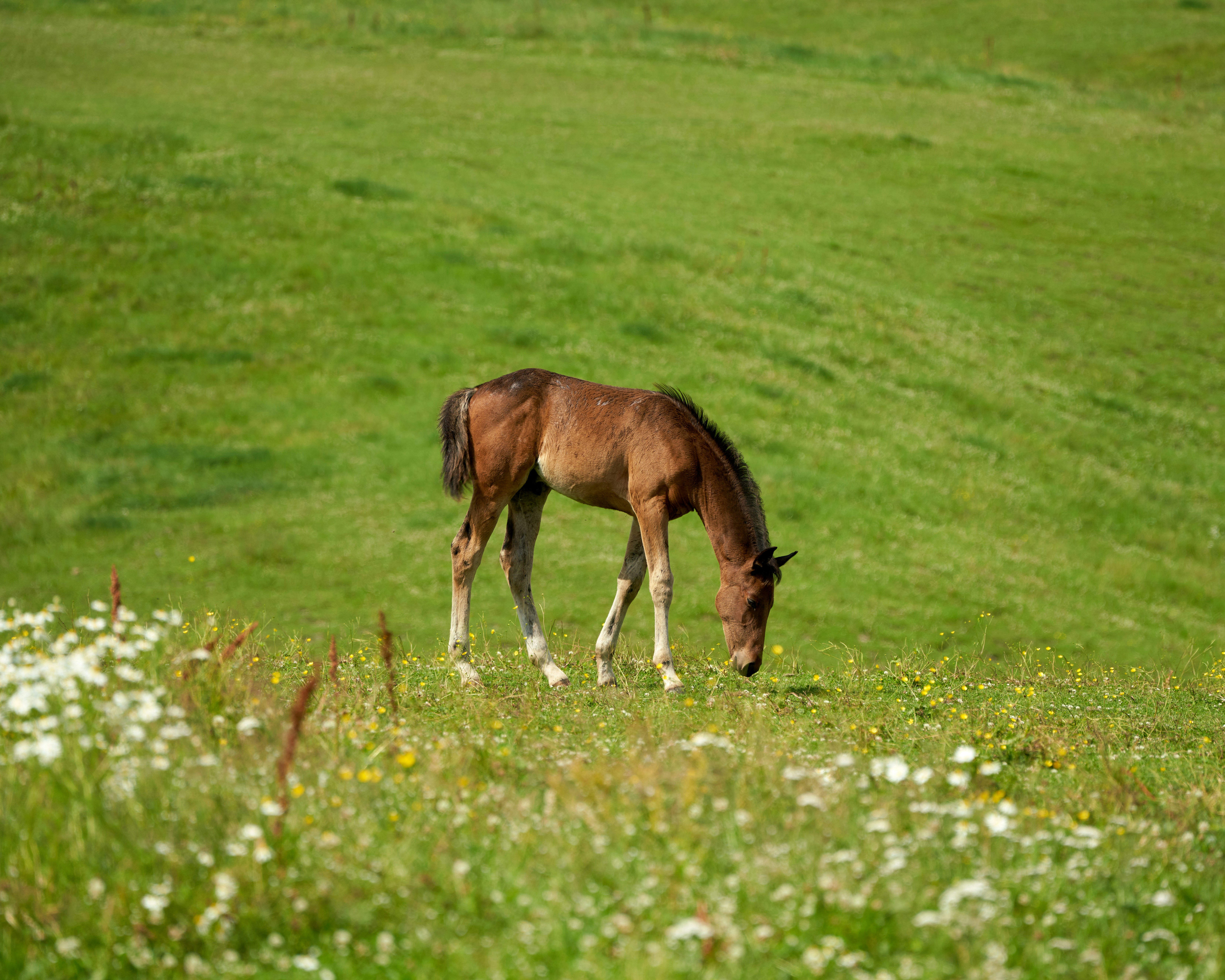 Photo by davotibarna