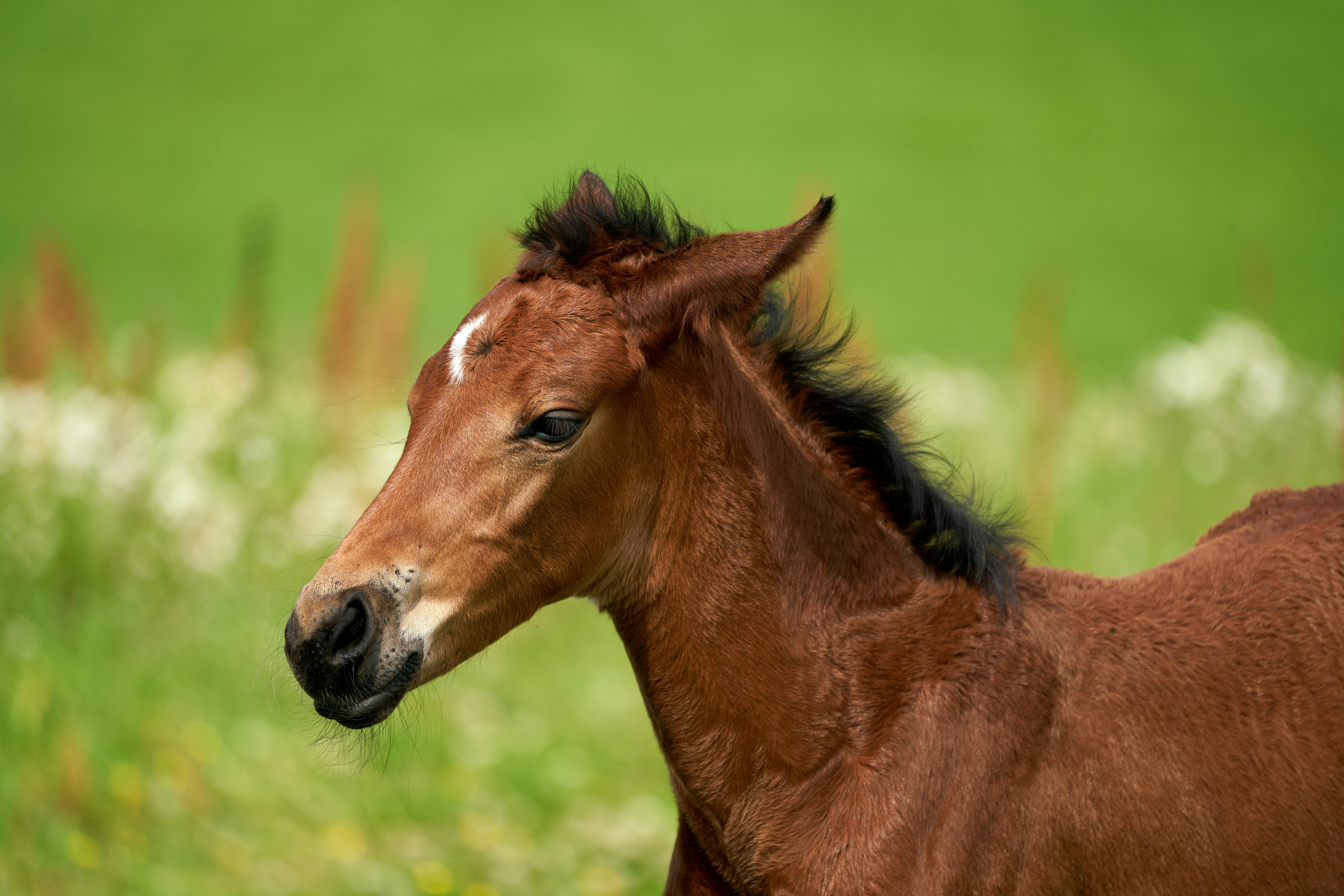 Photo by davotibarna