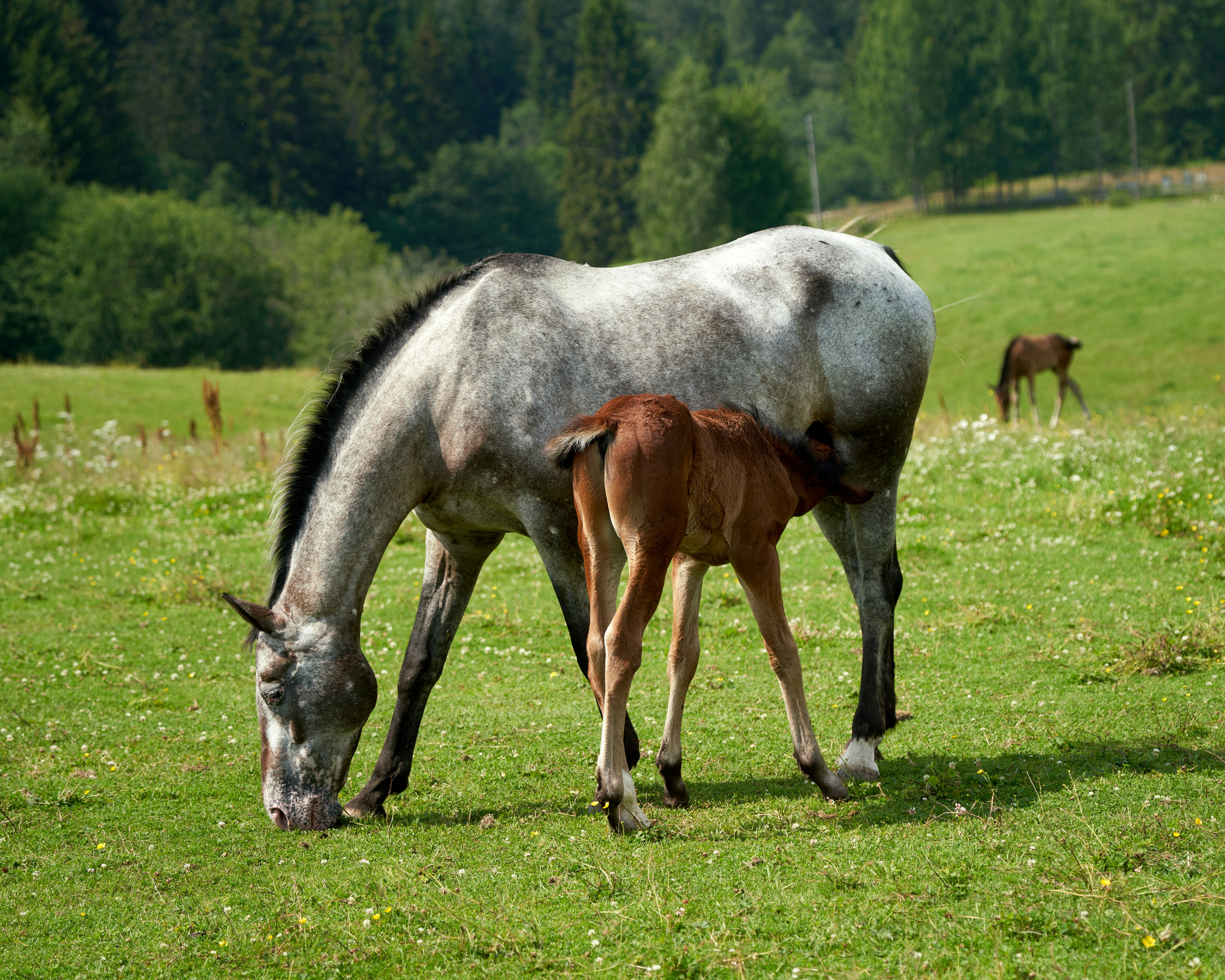 Photo by davotibarna