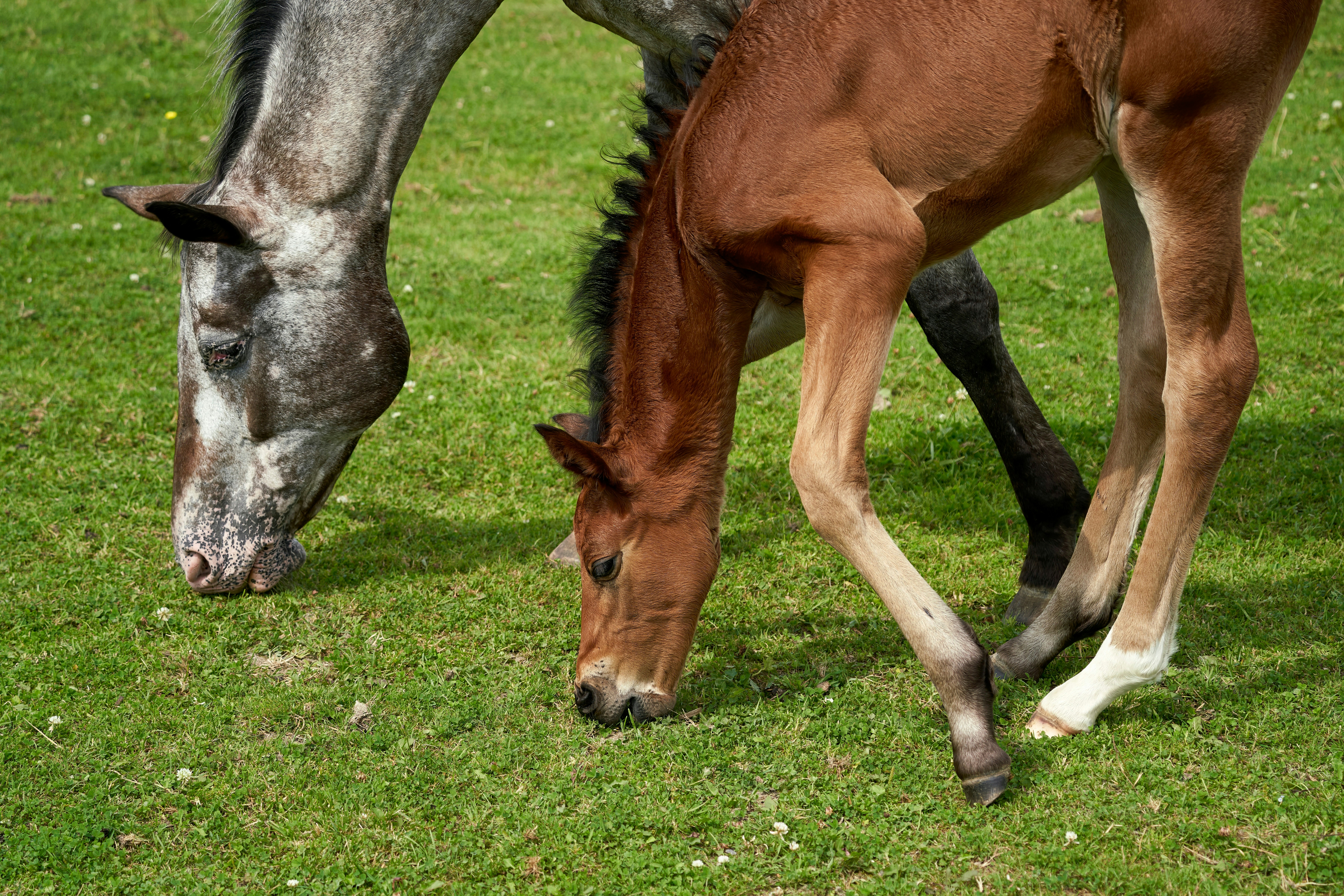 Photo by davotibarna