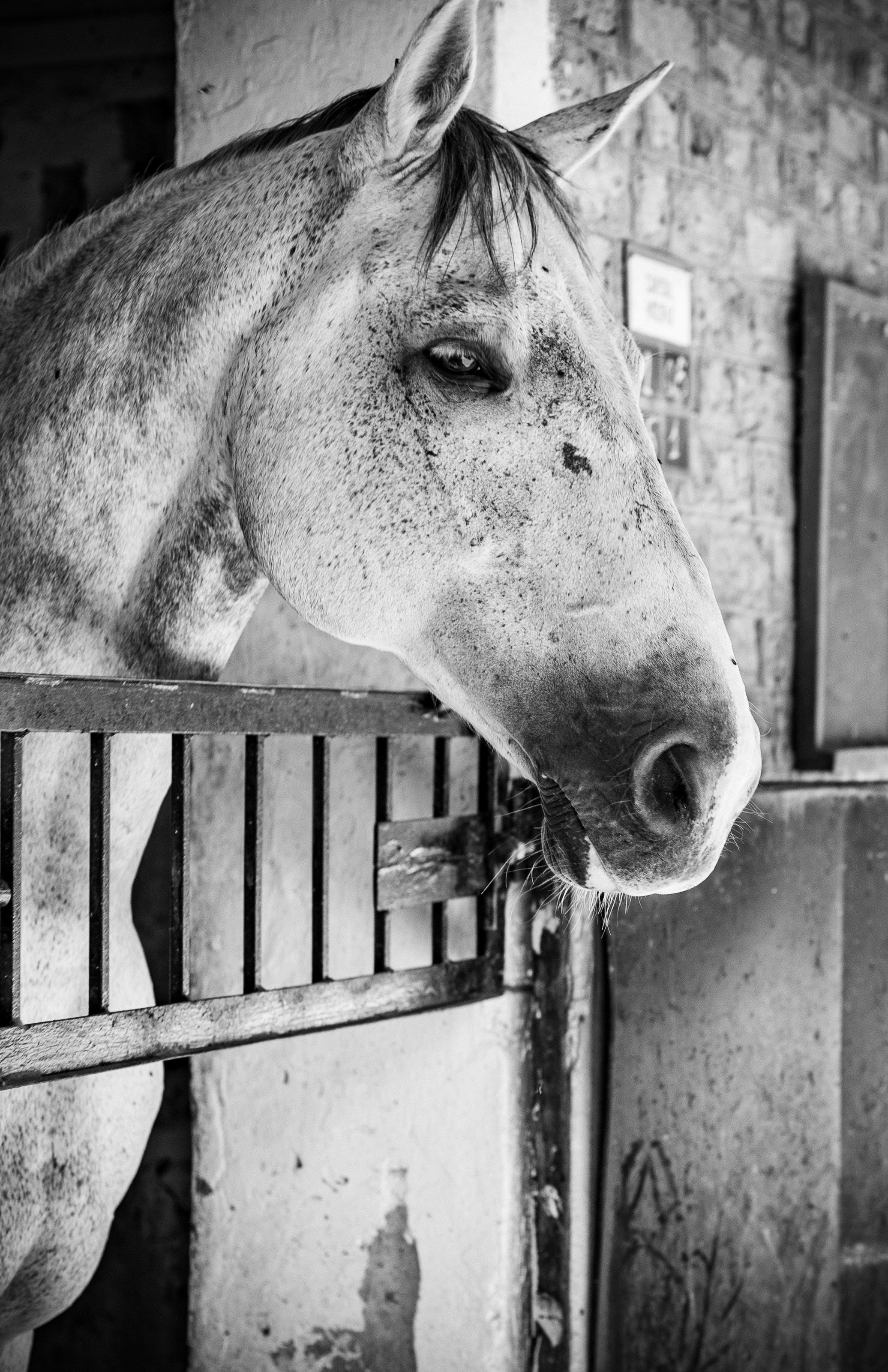 Photo by ujuzi_brain243