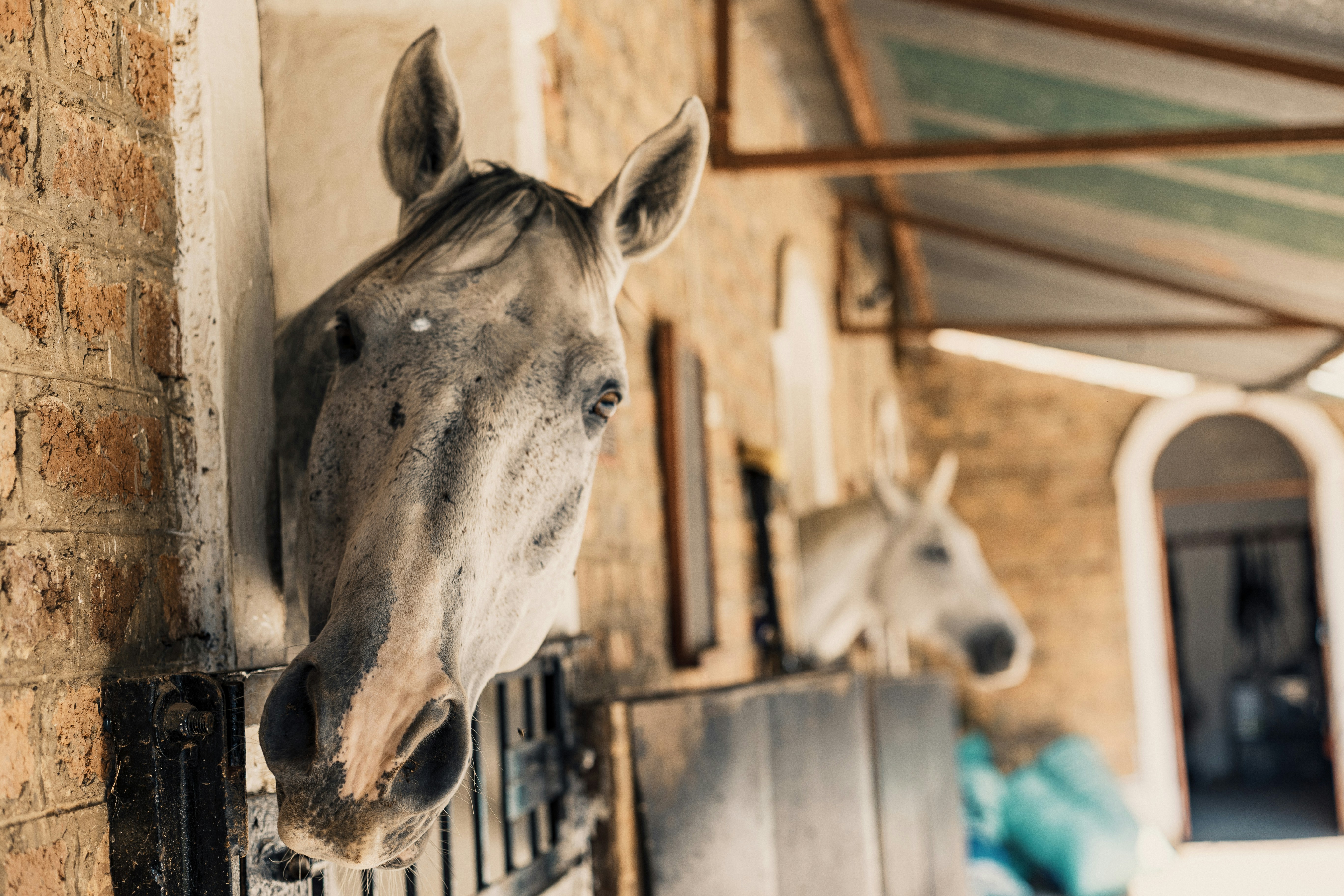 Photo by ujuzi_brain243