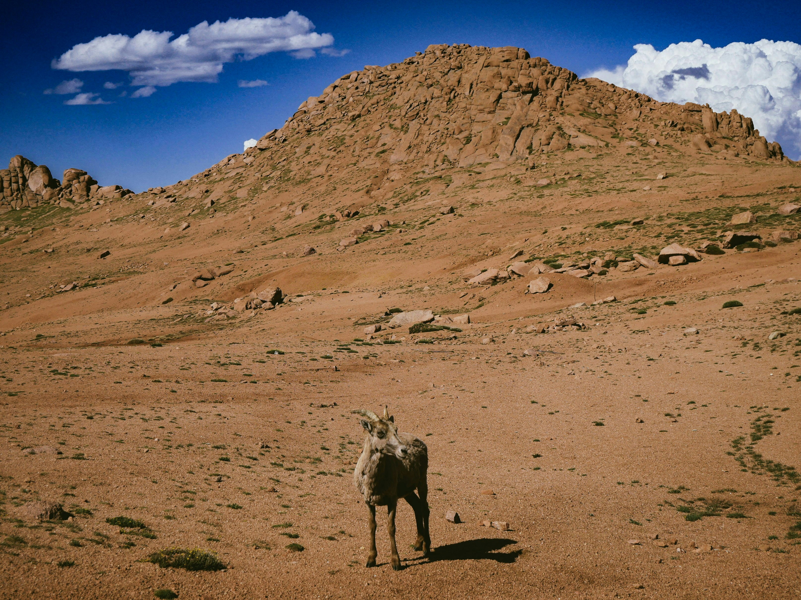 Photo by itsnotjacie