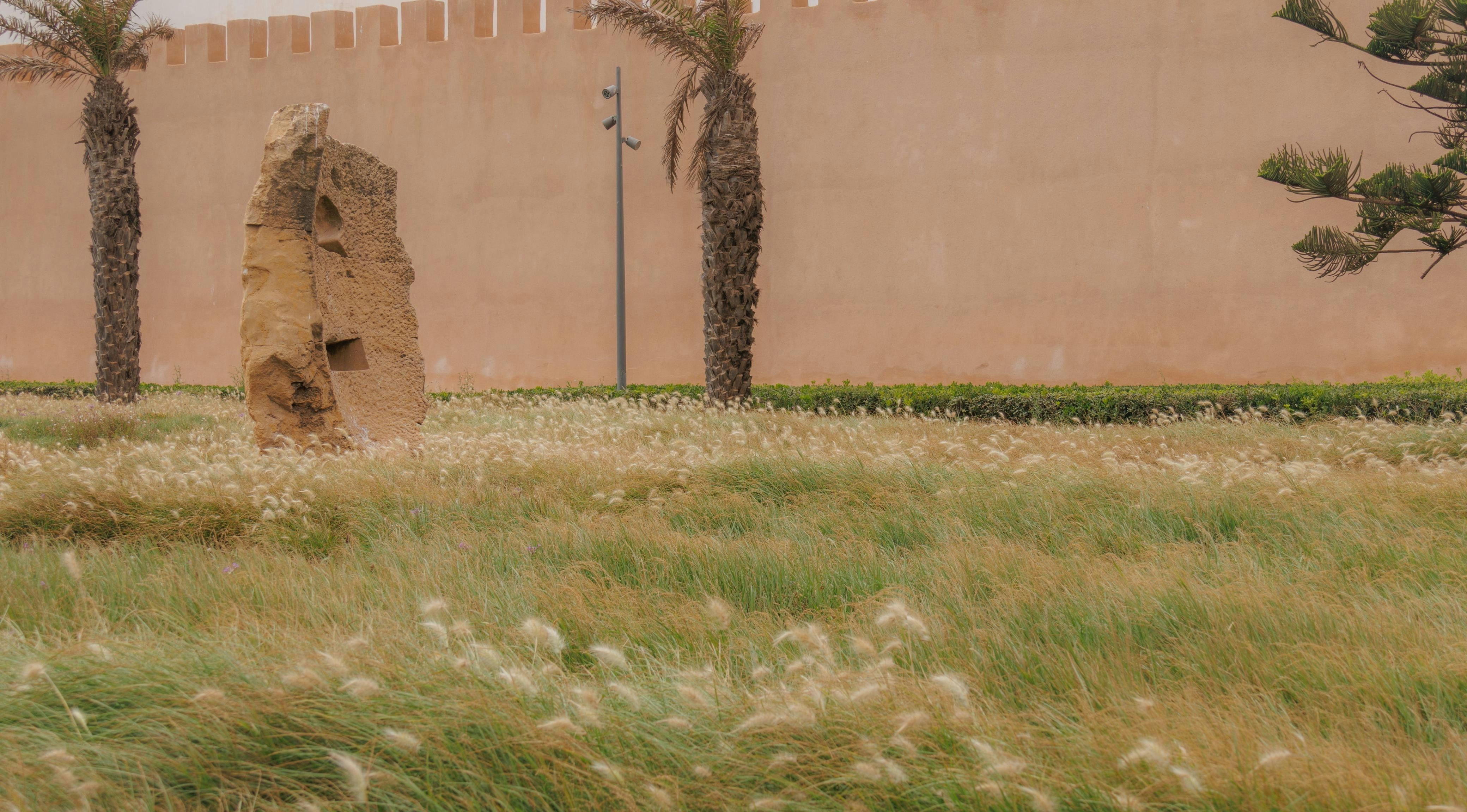 Photo by abdelkader1001